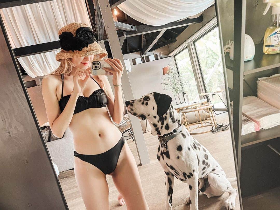 浅場佳苗のインスタグラム：「ちょっと早めの夏休み🌞🍉🌻🌴✨ ドットが警戒心が強くて、 わんちゃんがあまり得意でないというのもあって、 先日一緒に楽しく過ごしたいなと、 愛犬家な先輩ファミリーに教えてもらった、 プライベートヴィラへ行ってきました！  ドットが一番楽しそうだったのは、 とにかく広いお庭！🌱  脱走防止用の柵がしっかりあるので、 敷地の中はノーリードでOK🙆‍♀️✨  草の匂いをたくさん嗅いだり、 身体を動かすのが本当に大好きなので、 広い芝の上でたくさん走りまわったり、 一緒にボールで遊んだりしながら、 疲れたらゆったりお昼寝。。 みたいなことを、 自由に繰り返してのんびり🐶🌿  ドットの性格や大きさで、 おでかけしようとすると、 結構場所が限られちゃうのですが、 素敵な場所に出会えました.. ！✨  さらに嬉しいのが、、 人用の温泉、サウナ、プールも最高で、 24時間好きな時に入れる贅沢仕様.. ！ (サウナはセルフロウリュウできて、 温度は100度ちょいだったよ最高🧖‍♀️❤️‍🔥)  自然に囲まれた静かな場所で、 夜は星もとっても綺麗で、 ドットの楽しそうな姿も見れて、 わたしも夏を大満喫できて、 いいお休みになりました！🫠🫠  ・  💌 自分の備忘録用にと、 人見知り&犬見知りさんなわんちゃんを、 家族に持つ飼い主さんにも、 参考にしてもらえたら.. ！なまとめ✍️ #ドッグヴィラ千葉南房総   ・寝室/リビング的な棟とごはんを食べる棟が分かれているので、スタッフさんがごはん準備をして下さる時にわんちゃんは寝室/リビング側で待てる🐶  ・お隣さんとの仕切りはかなりしっかりしてる！普通に高い塀！一番奥の端っこだけちょいと隙間があるけど、覗いてみたらさらにその奥にももうひとつ仕切りの柵もあって安心だった🌿(泊まったのは1のお部屋)  ・お隣さんの声はわりと聞こえるので「おいで〜！」とかにこちらも反応してて、とても微笑ましい🫶 一番奥のちょっとした隙間を除いて人が見えることはほぼないから、家族以外の人の声に慣れるいい練習になった◎  ・とにかくお庭に広さがあるので走るのが大好きな子や多頭飼いのご家族には最高！なんと頭数・サイズ制限もなしでした🐩🐕🐕‍🦺🐕(2023年6月時点)  ・夜、施設周辺にお散歩に出る時かなり暗いので懐中電灯的なライト必須！暗い分星がすっごく綺麗だった✨ #きょうのドット #元保護犬 #犬と泊まれる宿 #ダルメシアン #大型犬 #犬との暮らし #tokyo #japan #dancemusic #dancepop #edm #singer #songwriter #シンガーソングライター #フレキシタリアン #動物愛護 #サスティナブル #エコ #地球にやさしいミュージシャン #愛犬家 #浅場佳苗 #kanaeasaba」