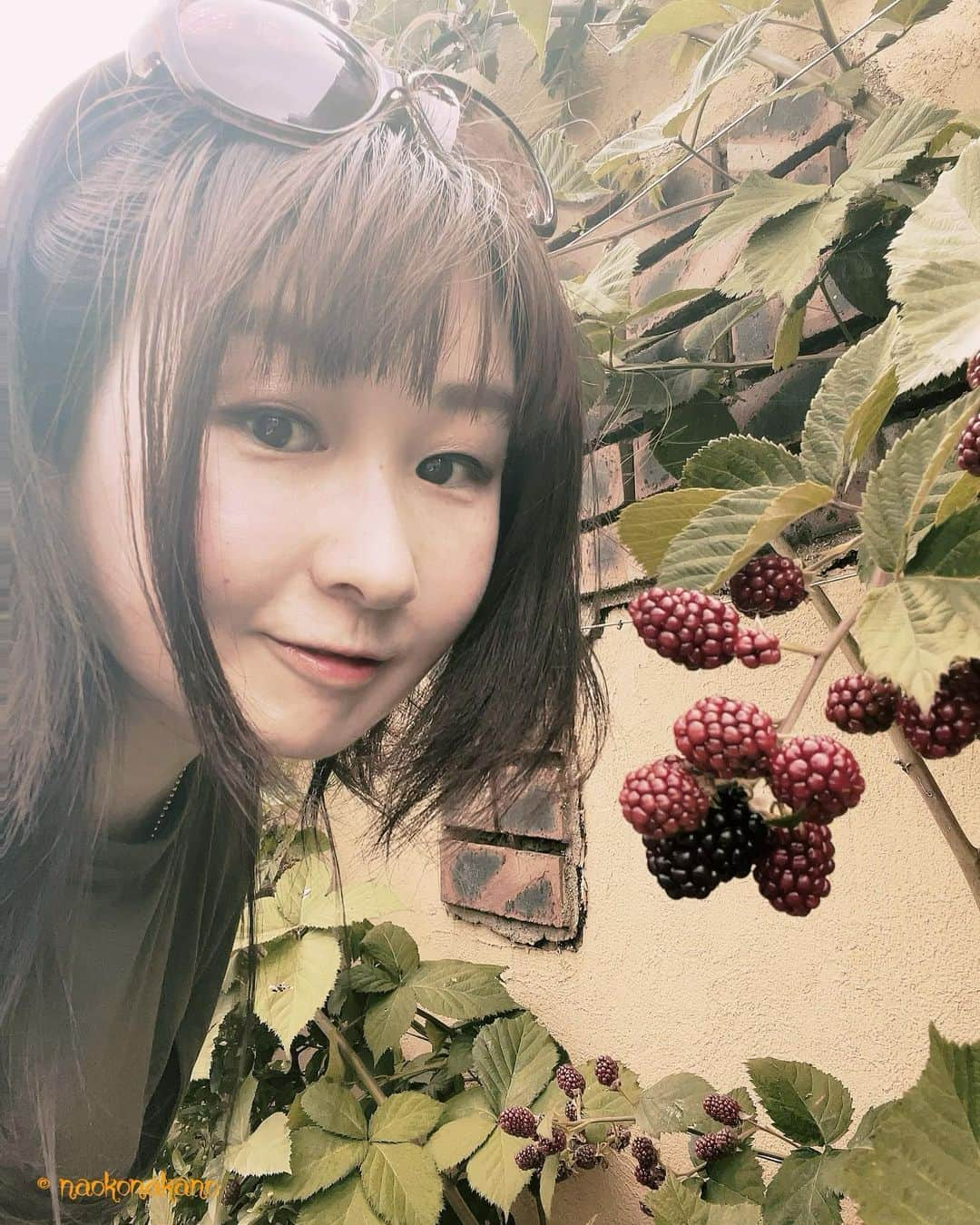 中野菜保子さんのインスタグラム写真 - (中野菜保子Instagram)「. 【In 知立(愛知県) 文化講演会とお芝居】  写真🍎🍎🍎🍎🍎🍎🍎枚 1:ブラックベリー🍓 2:トークショーと芝居のフライヤー 4:グラサン🕶️ 5:巨大なお花💐 7:星が集まってるみたいなお花⭐️ 9:アクセス(詳細は劇場HPあります)  ご機嫌いかがですか？（≧∇≦）？  今年も「生の中野」略して「ナマナカノ」が 観られますよ🔥🔥🔥  公式には5月頃から宣伝されているので もう知っているかもだけれど  知立市文化協会さまのオファーにて 文化講演会と、少しお芝居を致します🎭  かたいハナシにしない予定😆 柄に合わないから！！  なんと入場無料  タイトルは ストーリーズで みんなにアンケートをとって 選んでもらったものですよ♪  ありがとうございました😊  知立出身の祖母についてをメインに あれこれトークします。  お芝居は 『セロ弾きのゴーシュ』 (作:宮沢賢治)を ワタシが朗読劇用に構成・演出して  中野の他、 弟子で俳優の齋藤優樹など出演。  話したいコトもいっぱいあるし、  でもせっかくなので めっちゃ広い劇場で "本当に"朗読を耳で味わって頂く形です  時間足りないな〜やれやれだぜー  あっという間の90分、まちがいなく。  ぜひお誘い合わせの上 足をお運びください♪  【タイトル】「喜劇の途中」 　　〜知立の祖母(おばあちゃん)と芝居の話、公演を添えて〜 【日時】2023年11月12日(土) 14:00〜15:30予定 【場所】パティオ池鯉鮒　かきつばたホール 【アクセス】https://patio-chiryu.com/access/ 【料金】無料 【駐車場】275台  ⭐️イベントの性質上、講演会スタート後の 入退場はお控え下さい ⭐️自由席 ⭐️ご予約不要 ⭐️入場整理券は当日会場でも記入できます ⭐️整理券番号はありません  <お問合せ> 知立市文化協会(火〜金・10時〜16時) https://chiryu-bunka.org/ ☎️0566-83-0151 . . . #文化講演会 #講演会 #朗読劇 #セロ弾きのゴーシュ #宮沢賢治 #祖母の話 #知立市 #知立 #愛知イベント  #上海自転車 #中野菜保子 #齋藤優樹 #斉藤偉 #俳優 #actor #女優 #actress #脚本家 #playwright #演出家 #director #singergirls #コラムニスト #エッセイスト #演劇 #舞台製作 #映像製作 #bilingualactor #columnist #サングラスのある生活」7月1日 18時58分 - naokonakano8319