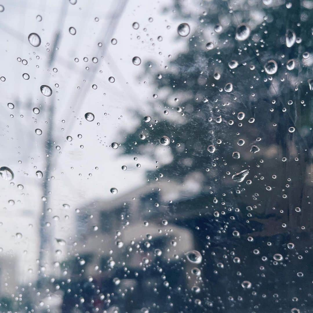 美緒さんのインスタグラム写真 - (美緒Instagram)「🌵🐧🌀  雨上がりに外に出ると、お隣のお池育ちのカエルさまと対面する季節になりました🌵 夜みると少しびっくりしますが、鳴き声を聞くと夏のはじまりを感じます🐧 でも、急に動かれると怖いのでじゃんぷしないで〜と心の中で念じながら前を足早に通ってしまいます🌀  (傘を持つときにここを持っていることに気がつきました。みんな違うの…？)  #instadaily #instagood #rainy #day #filmfwa #梅雨 #蛙 #雨 #私のベッドにいるケロちゃん」7月1日 19時02分 - mio_miofficial