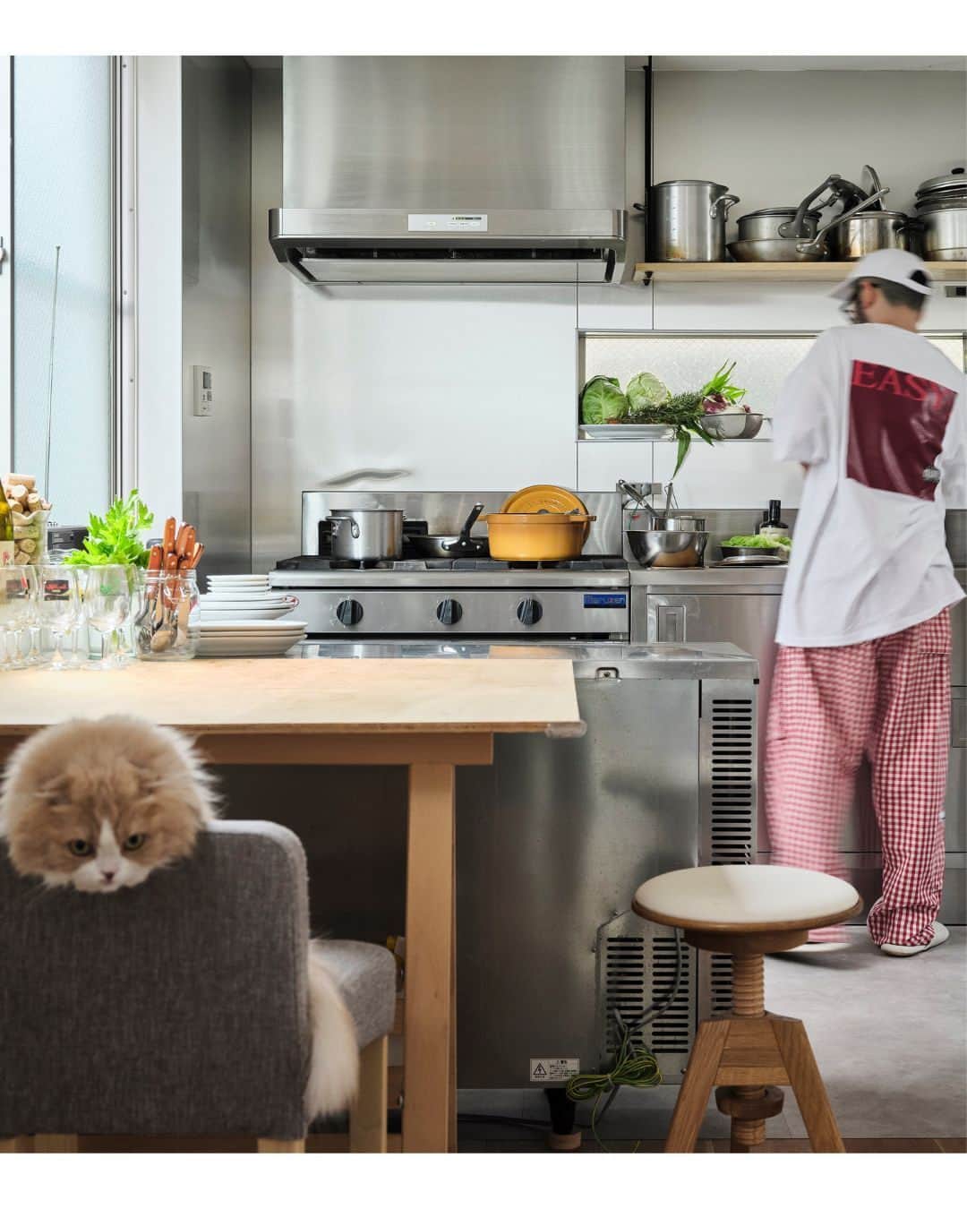 Hanako公式さんのインスタグラム写真 - (Hanako公式Instagram)「【発売中】最新号「小さな部屋を自分らしく」 。 ゲストもホストもリラックスする居心地のいい家は、キッチンも素敵!? アウトドアインフルエンサー・YURIEさんや、料理家・口尾麻美さん など、食への愛が募り“キッチンリノベ”を実践した7人の台所を見学。   🔗本誌の詳細は、プロフィール下のリンクへ！ @hanako_magazine  【Hanako1222号_「小さな部屋を自分らしく」】 #Hanako #Hanakomagazine #インテリアデザイン #インテリア小物 #模様替え #古民家DIY #1人暮らし部屋 #2人暮らし部屋 #収納アイディア #お部屋作り #マイルームインテリア #キッチンリノベ #移住計画 #befirst」7月1日 19時16分 - hanako_magazine