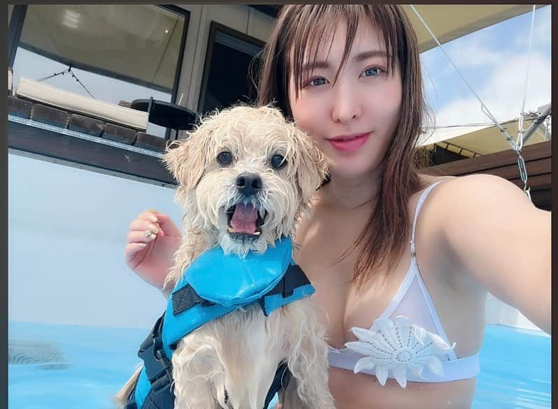 浅香美咲のインスタグラム：「ポムとプール行ってきた❣️ たくさん泳いで楽しそうだったな⸜( ˶'ᵕ'˶)⸝♡  #ペキプー #犬のいる暮らし  #夏のはじまり  #selfie  #dog」