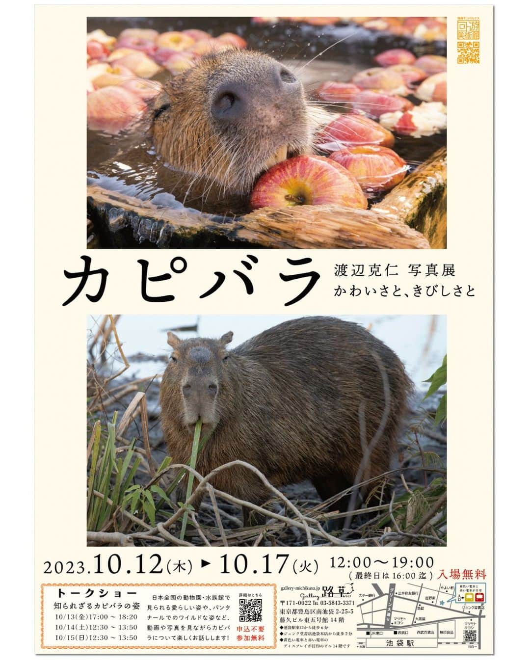 渡辺克仁さんのインスタグラム写真 - (渡辺克仁Instagram)「この秋、10月12日から17日まで東京池袋にありますギャラリー路草様にて、人生初の個展「カピバラ」を開催させて頂きます。約17年撮り続けた作品を厳選し皆様にお届けいたします。  動物園や水族館で撮影したやさしさ雰囲気のカピバラ達と、いつ敵が襲ってくるか分からない厳しい環境の野生のカピバラ達の写真を中心に、カピバラに関する写真を沢山！見て頂こうと準備中です。  写真展と表現すると堅苦しく静かに鑑賞するイメージもあると思いますが、ご家族・お友達やお子さんと一緒に笑ったり癒されたりと、カピバラや動物をもっと好きになって頂ければ嬉しいです。  これから告知や関連するツイートが増えますが、皆様のいいねやシェア・リツイートなどの宣伝にご協力宜しくお願い申し上げます。  http://gallery-michikusa.jp/  #カピバラ #水豚 #capybara #個展 #写真展 #池袋」7月1日 20時00分 - katsuhito.watanabe