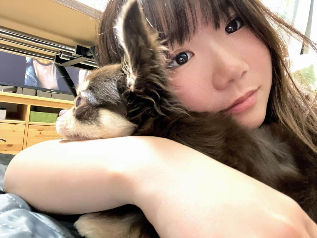 岩渕麗楽さんのインスタグラム写真 - (岩渕麗楽Instagram)「💝🐾  #チワワ#ロングコートチワワ」7月1日 20時06分 - leila_iwabuchi