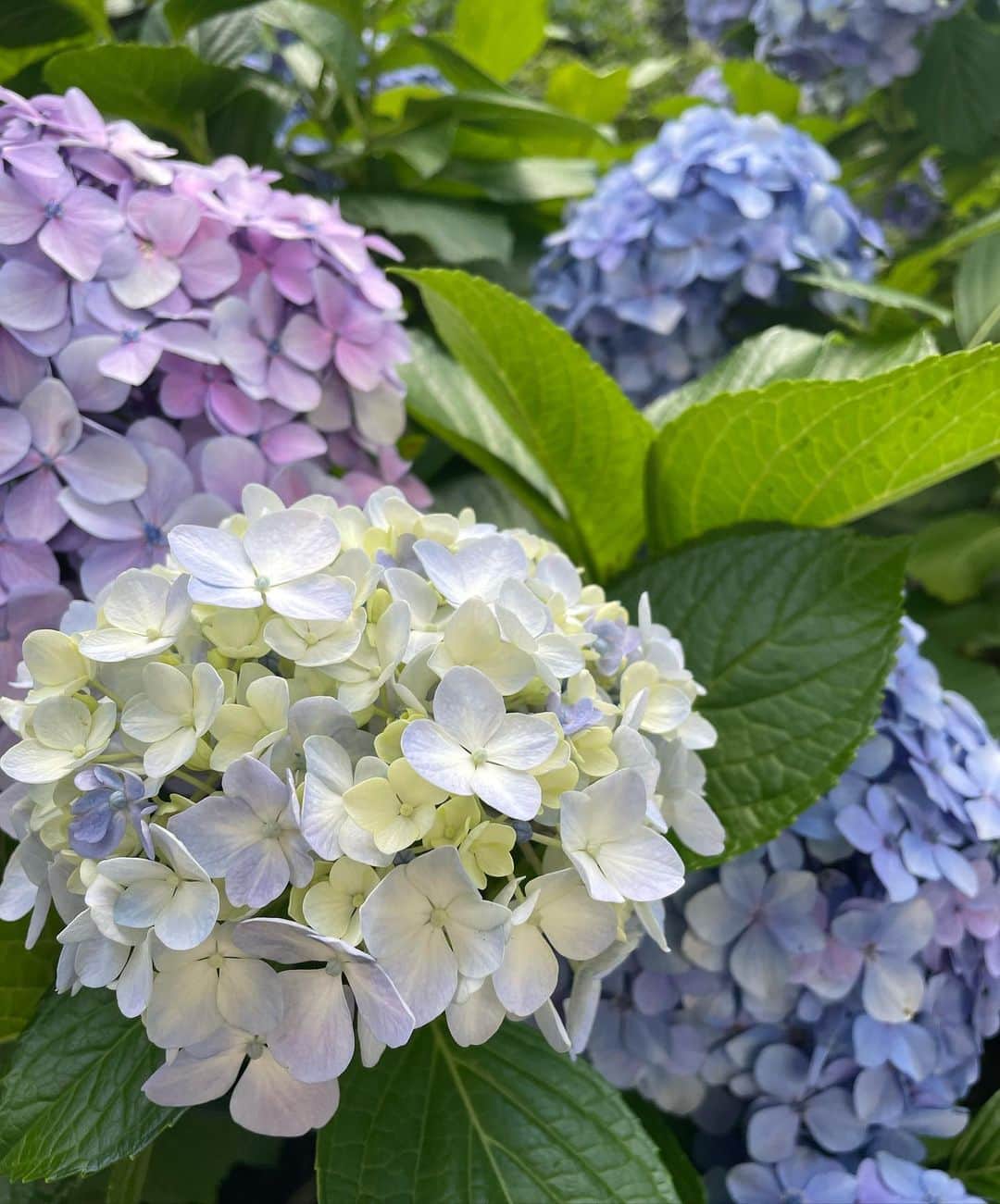 towanaのインスタグラム：「ハロー7月🛳️🌤️  夏がくる前に一年の半分が終わってるのいつも不思議 ってたぶんこの先も一生思うんだろう  夏なにしよう🎆」