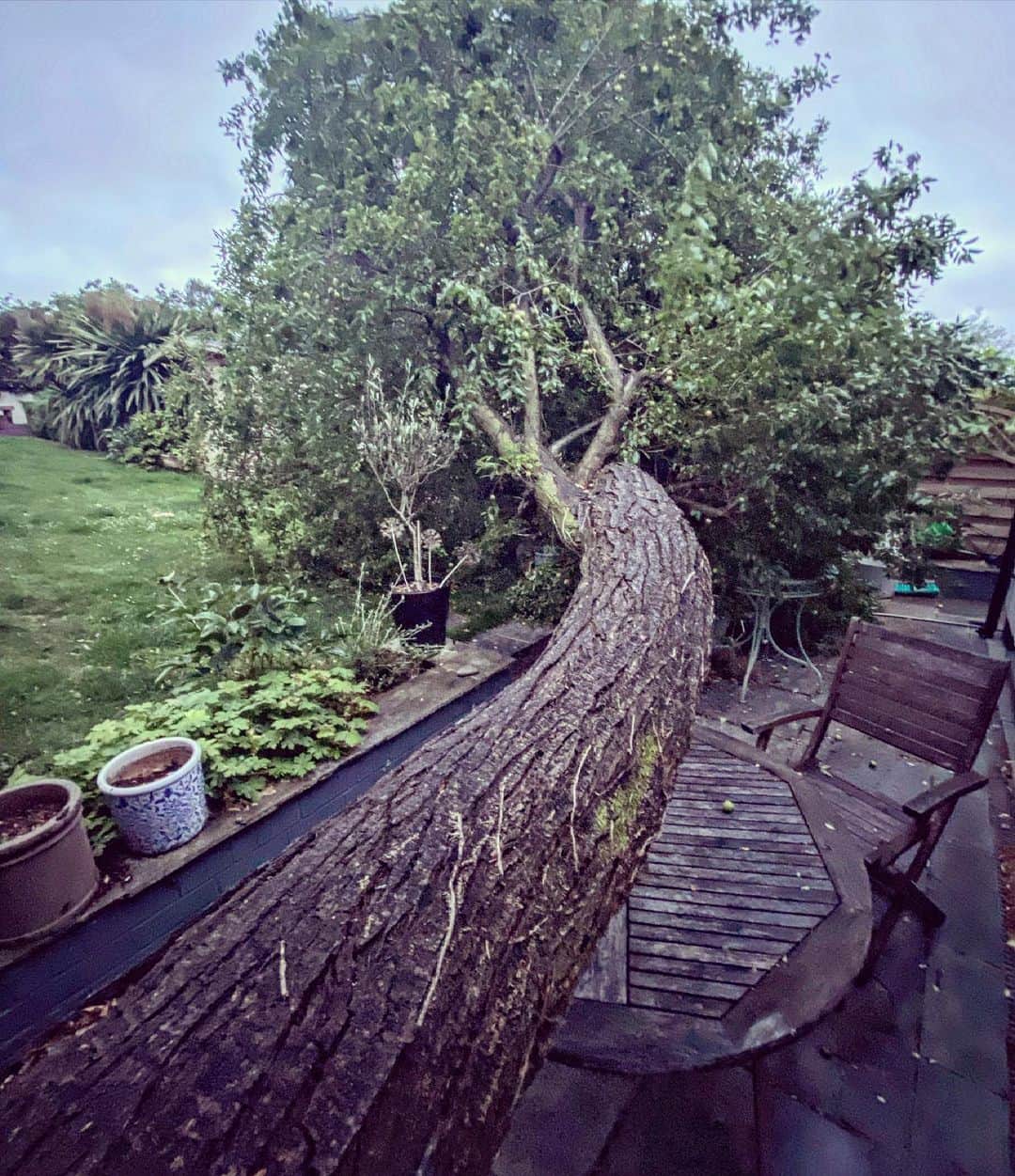 デビッド・モリシーのインスタグラム：「Lucky escape! Glad I wasn’t having a cuppa on the patio when this happened! 😢😢」