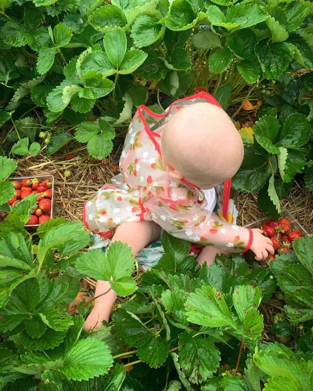 マイラ・ダルブサイオのインスタグラム：「Been deep underwater, but at least there are strawberries down here 🍓」