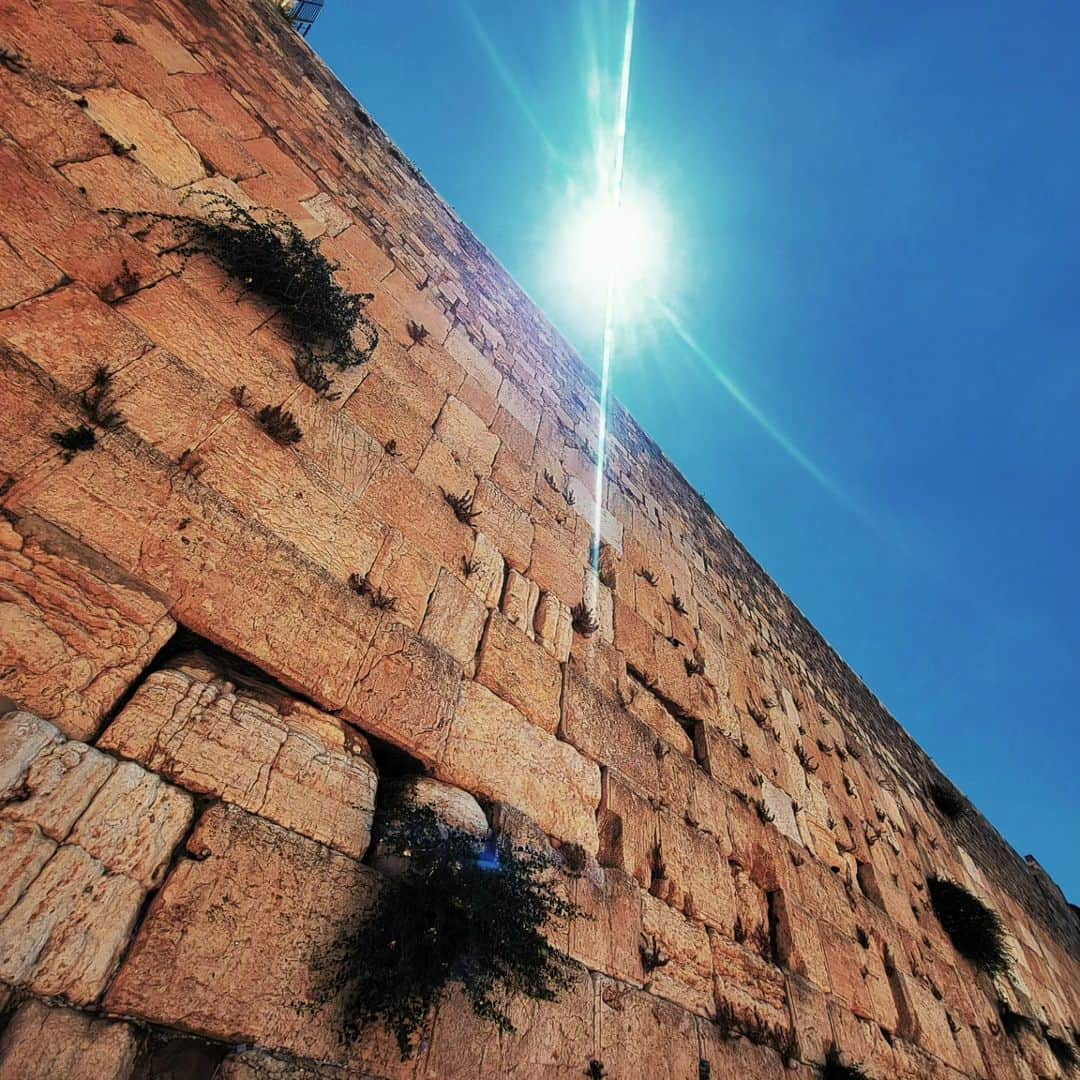 佐藤天さんのインスタグラム写真 - (佐藤天Instagram)「イスラエルの旅も間もなく終了！！  日本、イスラエルとこの旅で色々なことがあったけど本当に大切な時間を過ごす事が出来ました。 そしてイスラエルでは彼女の家族にも暖かく迎え入れていただき物凄くお世話になりました🙏 やっぱり人生において大切なのは人だなと心から実感しました。  フロリダに戻ったらまずは膝のリハビリ！！ 旅は最高でしたが、フロリダに戻るのが待ち切れないしモチベーションも自分でもビックリするくらい高いです。 　 ここまで自問自答を続けて、今はそれを言葉にすることさえ煩わしいけど、後ろに道はないしとにかく前に進むしかない。  ただ闇雲に進むだけではなく目標を持って、自分が歩みたい道、自分にとって正しい道を歩んで自分自身の答えを出していきます！！  Our trip will finishing soon!!🇯🇵🇮🇱 It was an amazing time and thank you so much for everything @sacellanit 😊🙏🏼  And now I can't wait to back Florida @killcliff_fc !!🔥🔥🔥」7月2日 6時22分 - satotenten