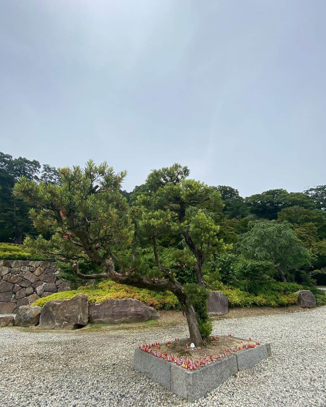 横島ふうかさんのインスタグラム写真 - (横島ふうかInstagram)「勝運の寺 『勝尾寺』へ行ってきました🚗 勝ちダルマがあちこちに置かれてて 探すのが楽しくなっていました⛄️ ダルマのお写真ばかりでごめんね（笑）  みんなにも、勝ちダルマパワーおすそわけ🎁⋆* 今日もハッピーな1日にしようね🌈   #勝尾寺 #勝ちダルマ  #大阪観光  #大阪旅行  #大阪」7月2日 6時28分 - fuka_yokoshima