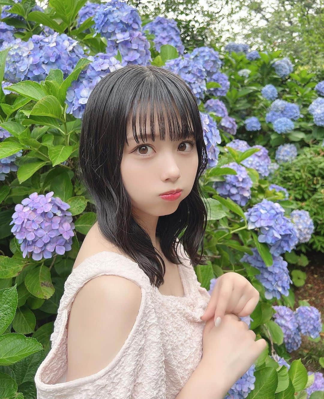 峰島こまきのインスタグラム：「紫陽花ほんっとに好き、🌼  青いお花が大好きです、🦋」