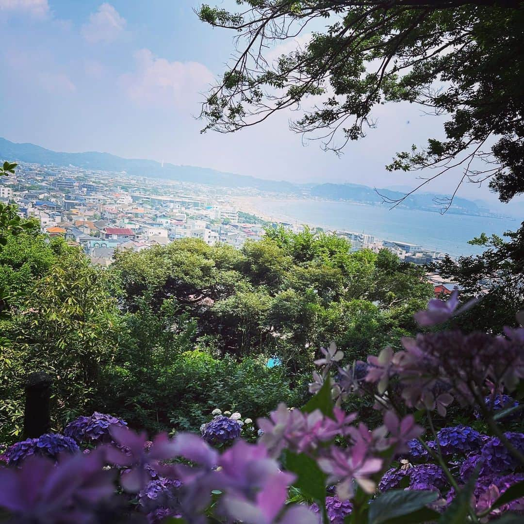 内田彩さんのインスタグラム写真 - (内田彩Instagram)「🐌💠  鎌倉の長谷寺に紫陽花を見に行ってきたときの写真☺︎  紫陽花大好き♡」7月2日 0時05分 - aya_uchi_da