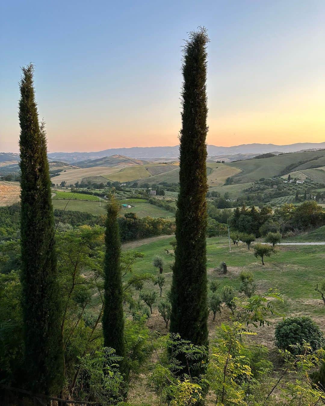 ジャコモ・ジャンニオッティのインスタグラム：「Toscana Photo Dump - 🌳🌳🌳  Grazie @fonteverde . You are the winner of the most “dog friendly” hotel we have ever stayed at. We will be back! Especially Jazz 🐶 😍 🇮🇹」