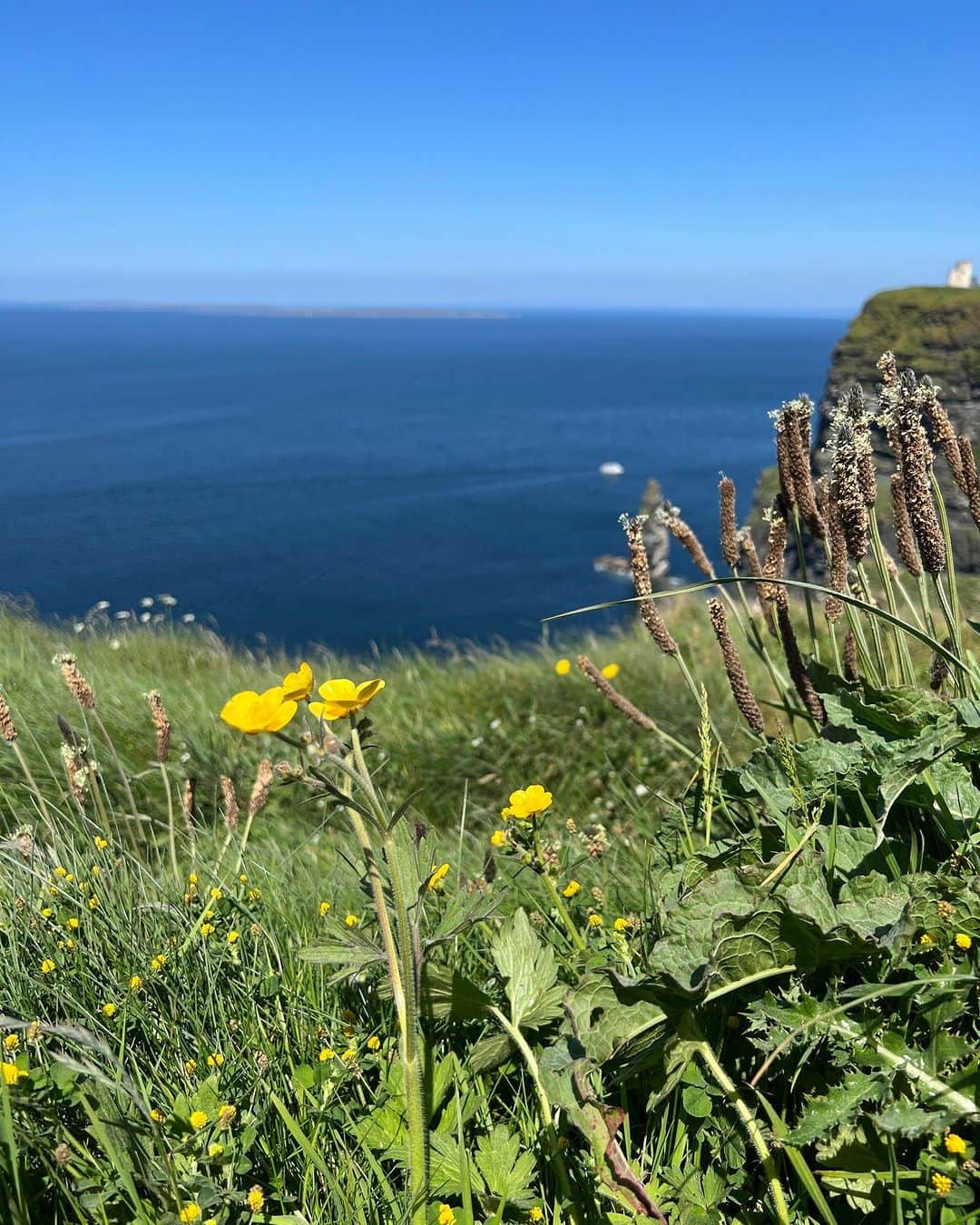 アダム・リッポンさんのインスタグラム写真 - (アダム・リッポンInstagram)「I went for a hike」7月2日 2時00分 - adaripp