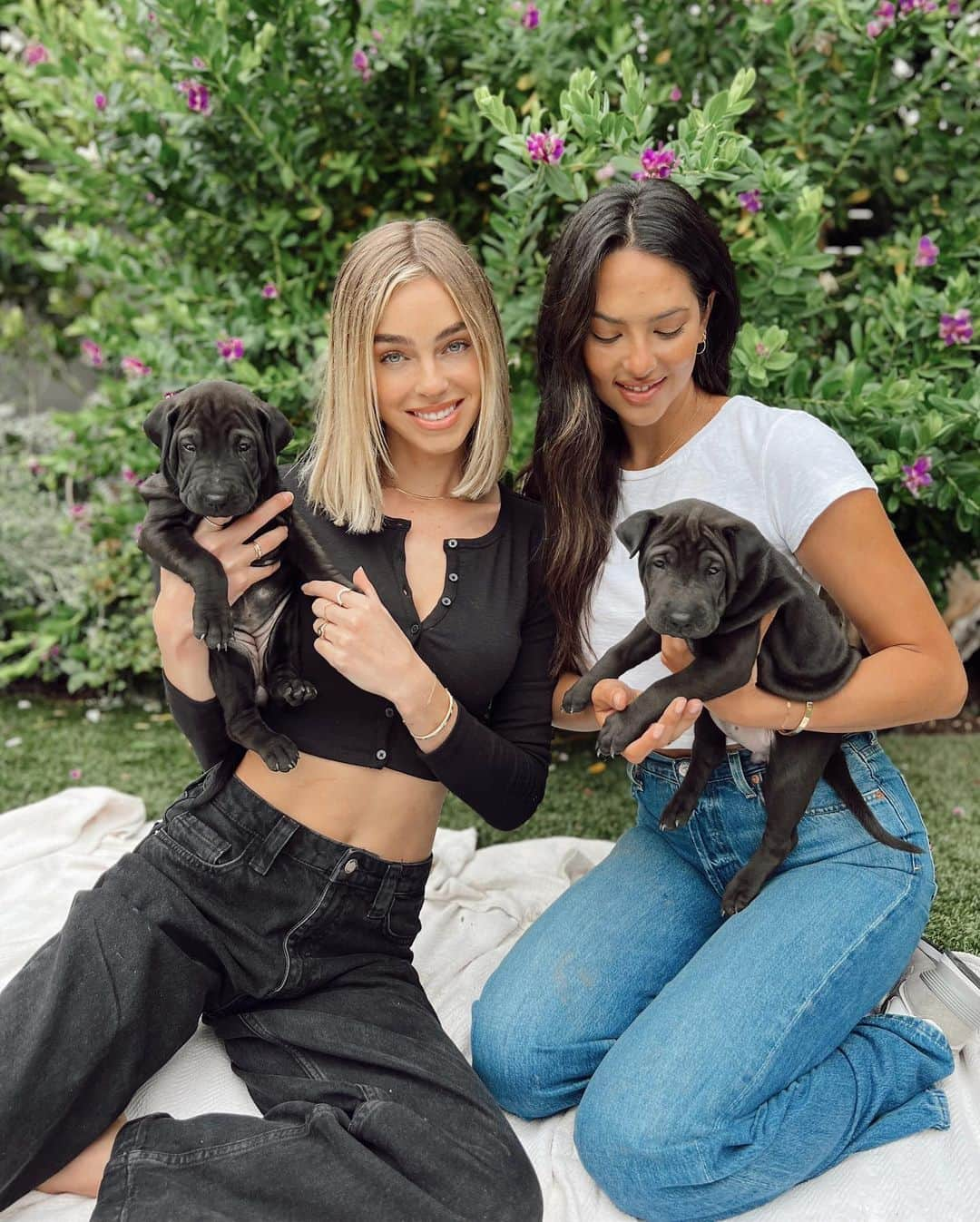 Elizabeth Turnerさんのインスタグラム写真 - (Elizabeth TurnerInstagram)「These angel puppies (and mama) are available for adoption in ONE WEEK!! They're lab / Shar pei mixes and they are absolutely adorable! Contact @hitlivingfoundation if you want to adopt 🤍 #adoptdontshop」7月2日 2時14分 - elizabethcturner