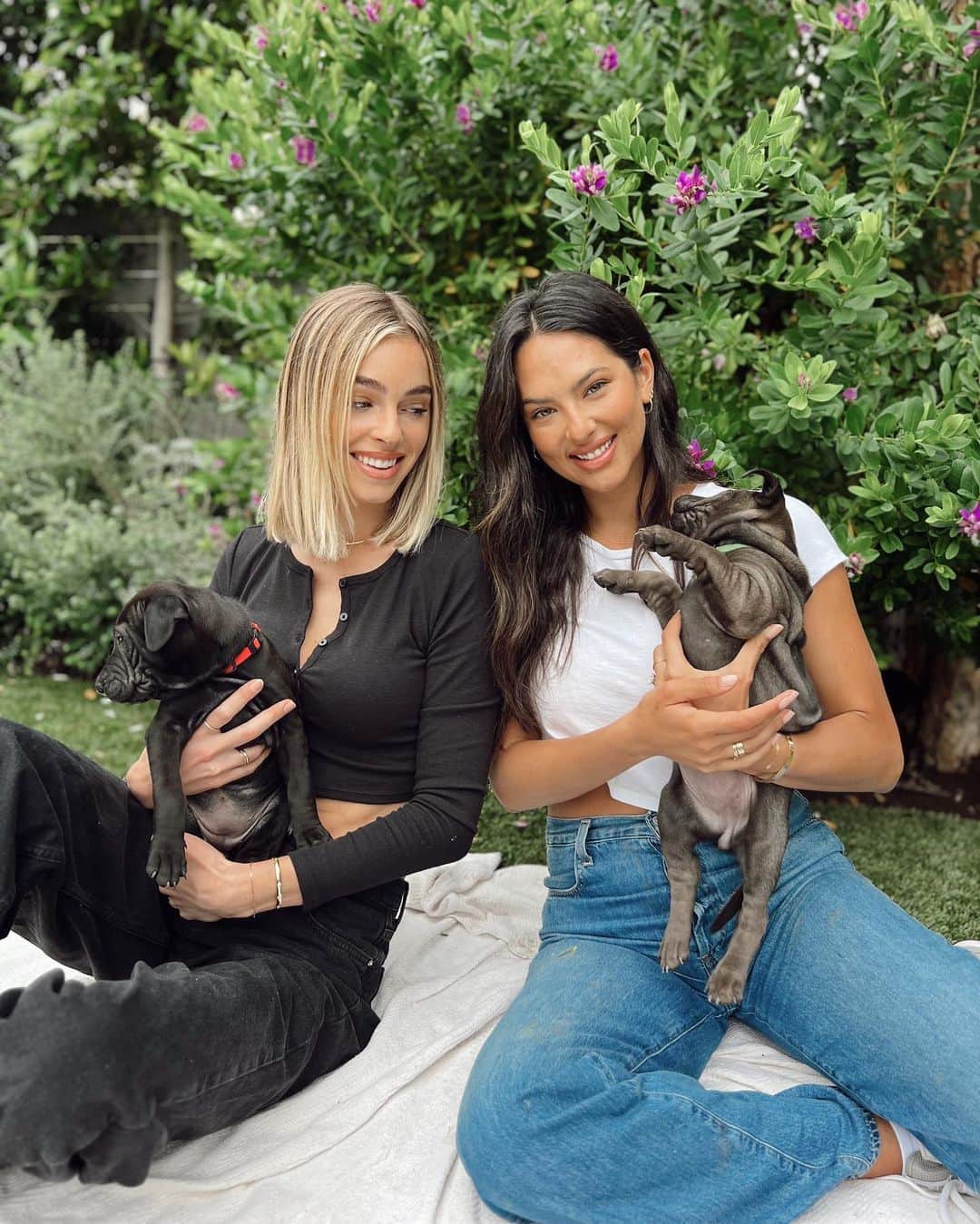 Elizabeth Turnerさんのインスタグラム写真 - (Elizabeth TurnerInstagram)「These angel puppies (and mama) are available for adoption in ONE WEEK!! They're lab / Shar pei mixes and they are absolutely adorable! Contact @hitlivingfoundation if you want to adopt 🤍 #adoptdontshop」7月2日 2時14分 - elizabethcturner