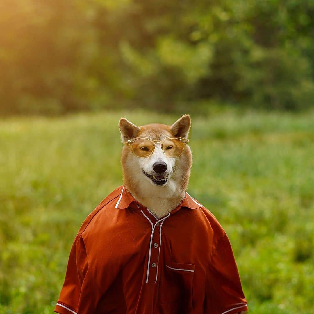 Menswear Dogさんのインスタグラム写真 - (Menswear DogInstagram)「POV: It’s July 4th weekend and we’re frolicking in the Sun ☀️   Wishing everyone a festive long weekend- head over to stories for a lil surprise 😉」7月2日 3時42分 - mensweardog