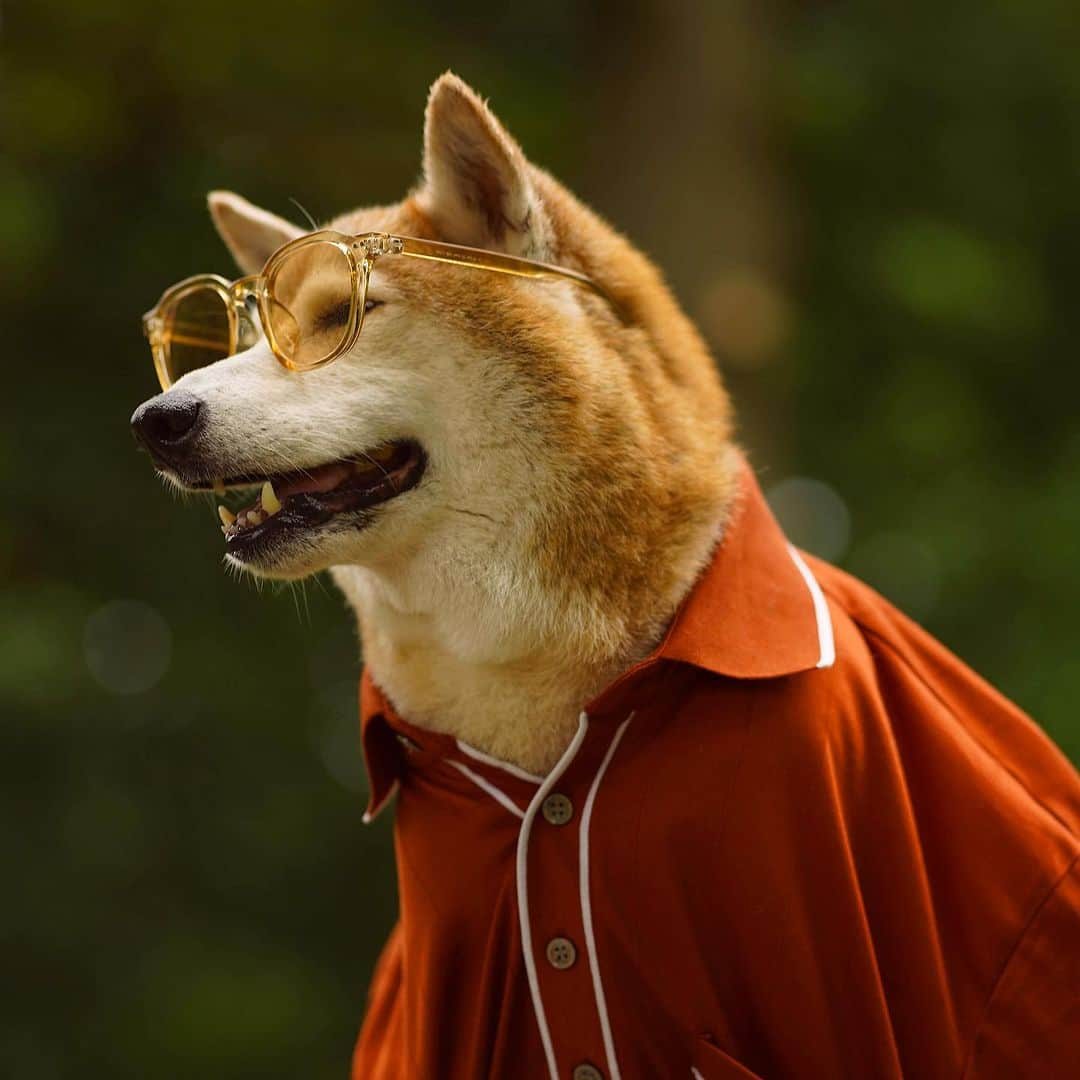 Menswear Dogさんのインスタグラム写真 - (Menswear DogInstagram)「POV: It’s July 4th weekend and we’re frolicking in the Sun ☀️   Wishing everyone a festive long weekend- head over to stories for a lil surprise 😉」7月2日 3時42分 - mensweardog