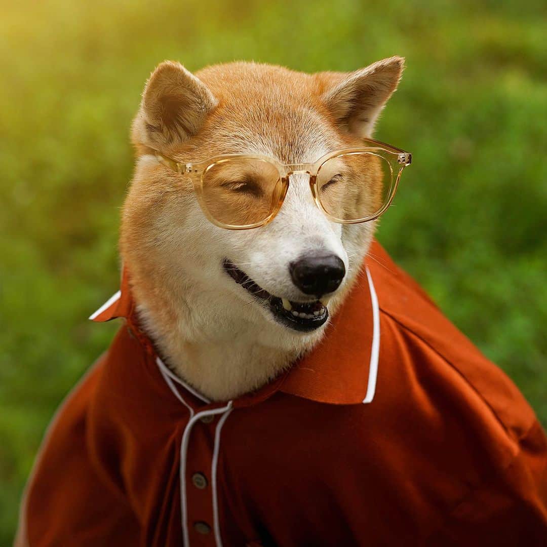 Menswear Dogのインスタグラム