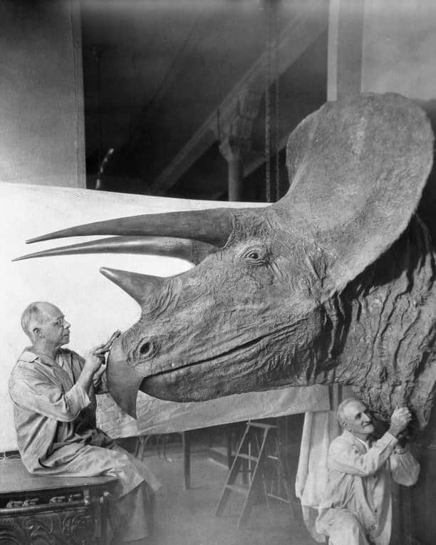アメリカ自然史博物館のインスタグラム：「Today's Exhibit of the Day is a blast from the past! This archival image, snapped in 1938, depicts Museum preparators sculpting a model Triceratops. This model isn't on display today, but Triceratops fans can see a fossil skeleton in the Hall of Ornithischian Dinosaurs.  Photo: AMNH Library / Image no. 315711」