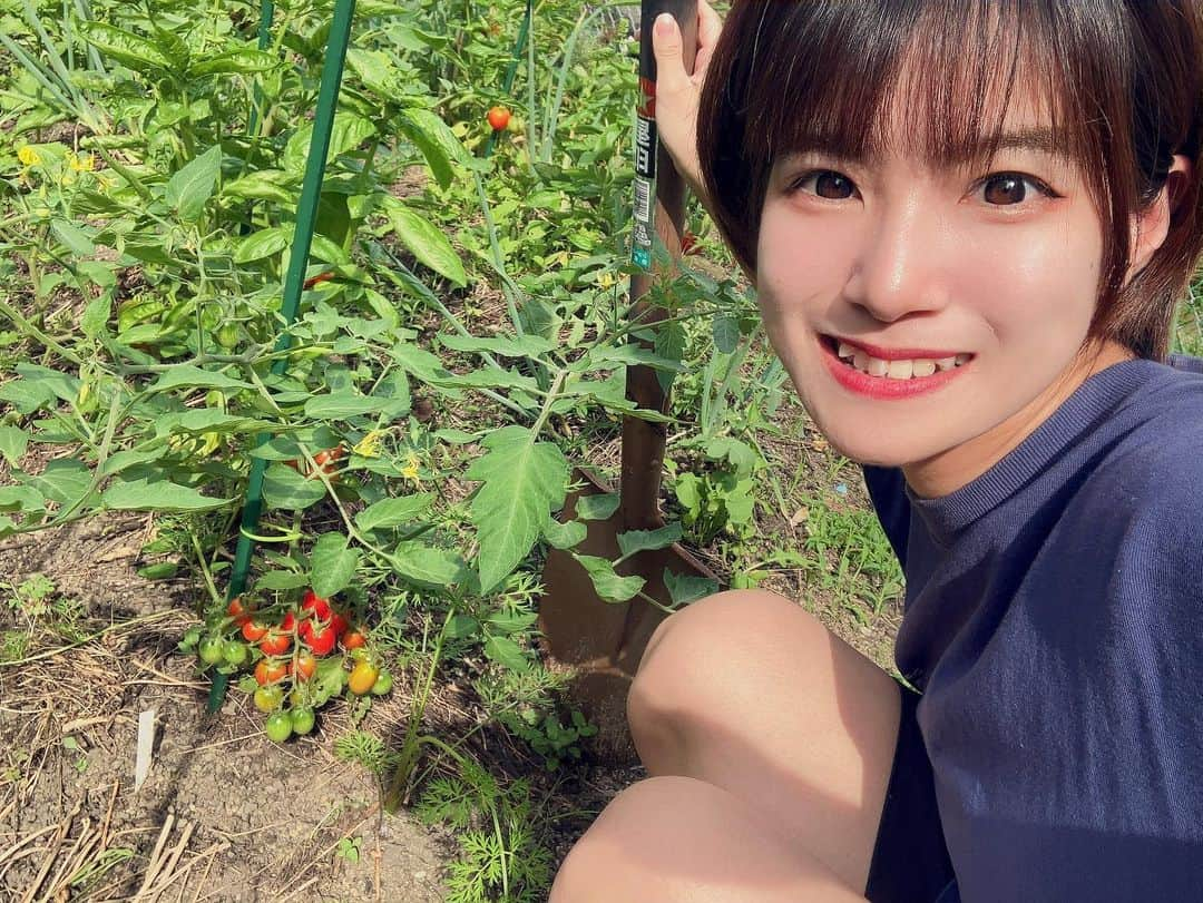 北原ゆかのインスタグラム：「たわわに実ったトマトちゃんです🥹🍅  #北原ゆか #シンガーソングライター #アイドル # 夏休み」