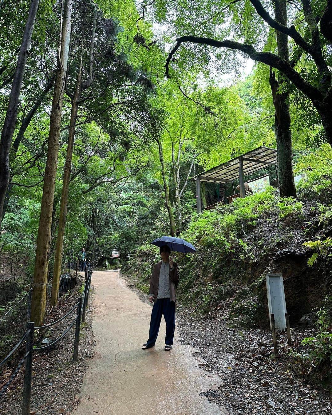 武内駿輔さんのインスタグラム写真 - (武内駿輔Instagram)「🐒 #嵐山」7月2日 15時59分 - jwamadeus