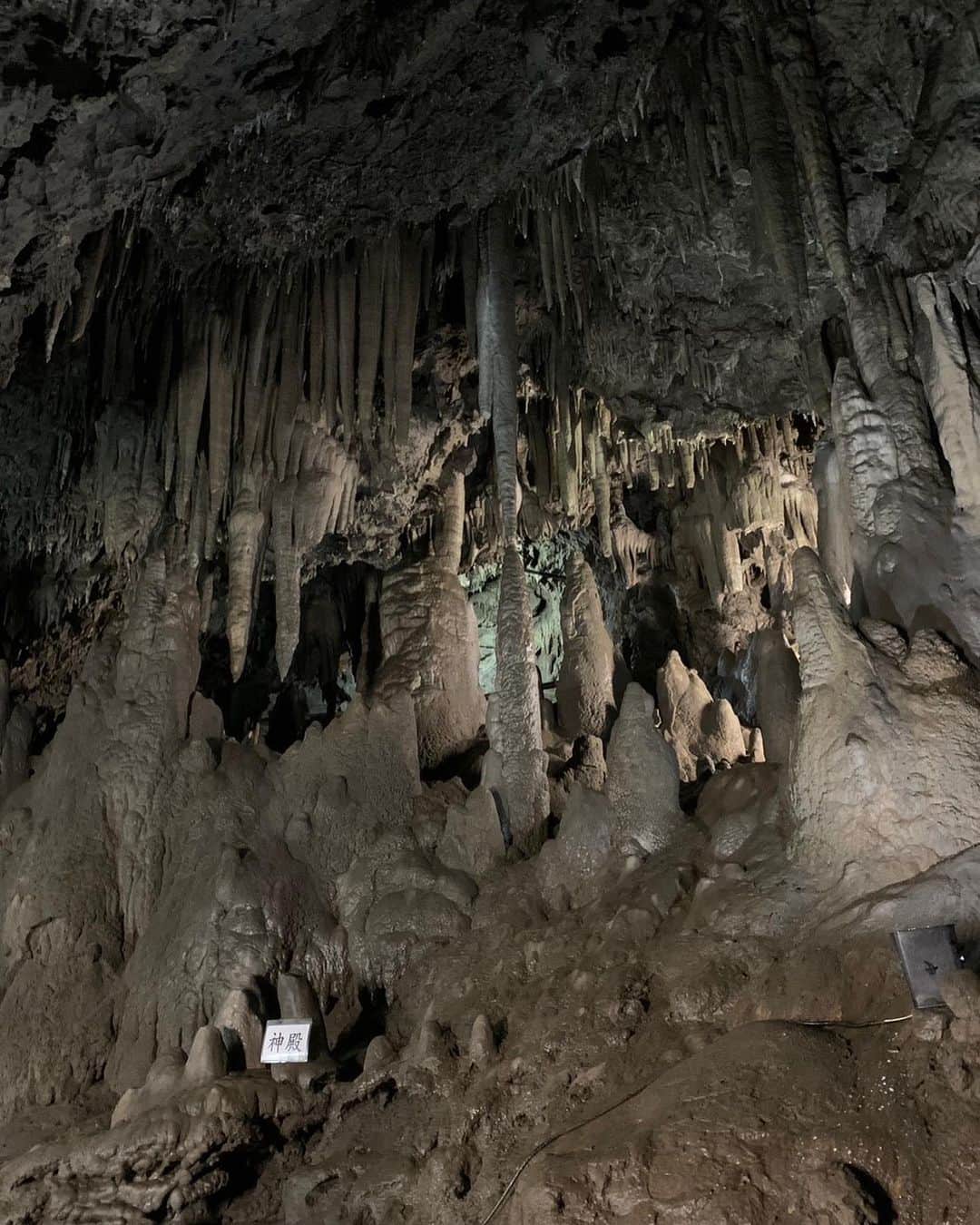 藤崎奈々子さんのインスタグラム写真 - (藤崎奈々子Instagram)「⁡ \岩手旅𓅰探検家気分になれる洞窟へ/ ⁡ 龍泉洞の近くのもう１つの鍾乳洞 安家洞へ ⁡ ここは総延長2万3700mを誇る日本最長の鍾乳洞 日本では数少ない迷宮型の鍾乳洞として知られていて、入口から500mのみ一般公開されている (迷宮型の鍾乳洞っていうだけで冒険気分になる) 文化庁指定天然記念物となっています ・ 龍泉洞の近くにあるからちょっと覗いてみるか、くらいの気持ちで行ったんだけど 受付のおばちゃんにヘルメットを借りて なぜにヘルメット？大袈裟だなぁ くらい思って入洞したら、なかなかにワイルドで 探検家気分になれる鍾乳洞でした ⁡ 中は思いの外ひんやりと寒くて、冷蔵庫の中にいるみたい 何ヶ所も分かれ道があって、その先は真っ暗闇 怖くて入れず（笑） ⁡ 王道の大きな道を進んでも、体を半分以下に屈ませなければ通れない部分もあって、しまいには頭をぶつける始末… ヘルメット被って、これほど意味があったと思った事がないほど強打した（涙）  鍾乳石には色々な名前がついていて 私が1番お気に入りだったのはおっぱい岩♡♡♡ ぜひ写真を見てみてね！ ⁡ THE鍾乳洞！という風景を体験したい人におすすめの安家洞です ・ #旅行好き女子 #旅行好き #大人旅 #小旅行 #岩手観光 #岩手旅行  #鍾乳洞 #安家洞 #洞窟探検  #女子旅 #カメラ旅 #国内旅行 #ナナタビ　#ナナコタビ #ホテルステイ #大人の絶景旅 #タビジョ」7月2日 16時10分 - nanakofujisaki