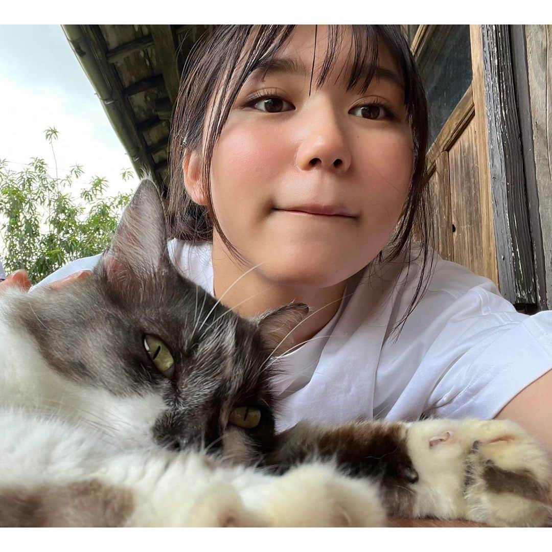 くろがねさらのインスタグラム：「この野良ちゃんめっちゃ人懐っこくて可愛いかった😻😻 この後、しっぽが顔にあたって顔が毛だらけになりましたが それはそれで幸せでしたわ。」