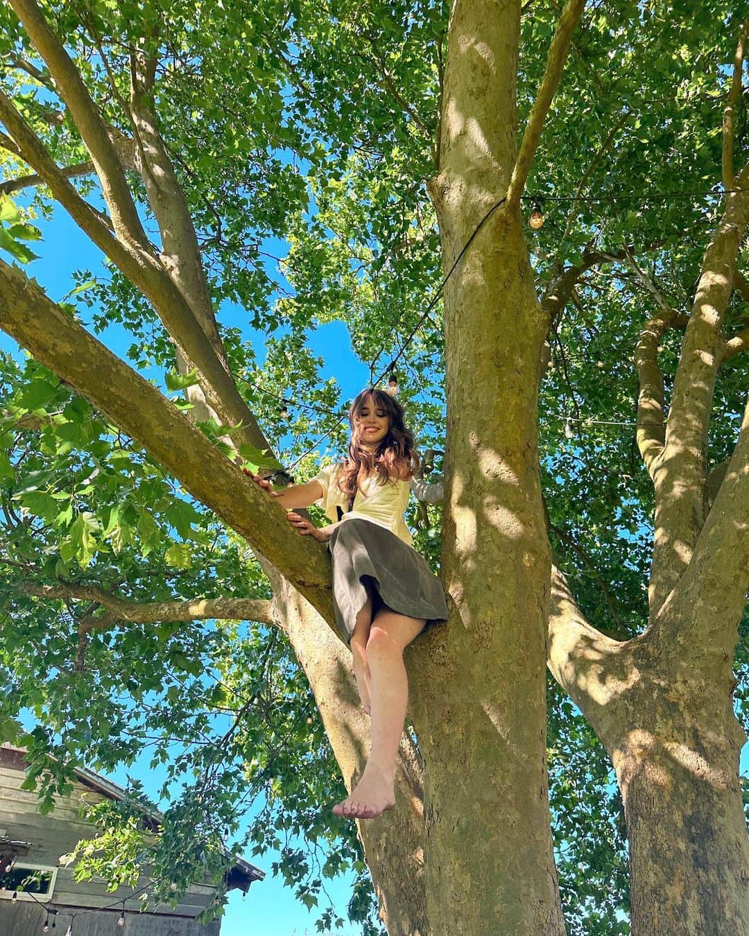 Acacia Brinleyさんのインスタグラム写真 - (Acacia BrinleyInstagram)「If there’s a climbable tree at the function, considered it climbed.」7月2日 9時50分 - acaciakersey