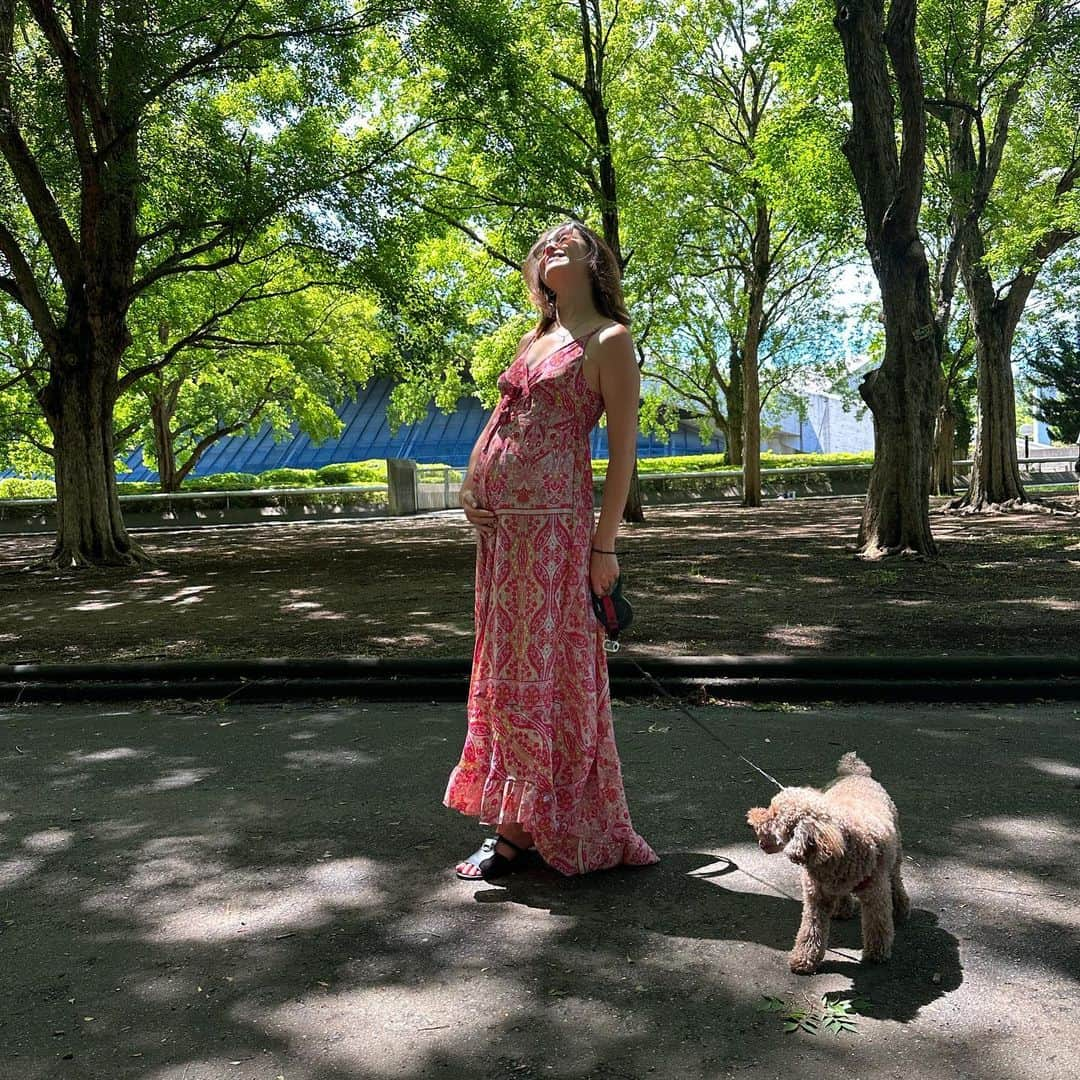 藤井アルダさんのインスタグラム写真 - (藤井アルダInstagram)「🌺#ourbabygirl #25weeks」7月2日 12時01分 - akemi_rafaela