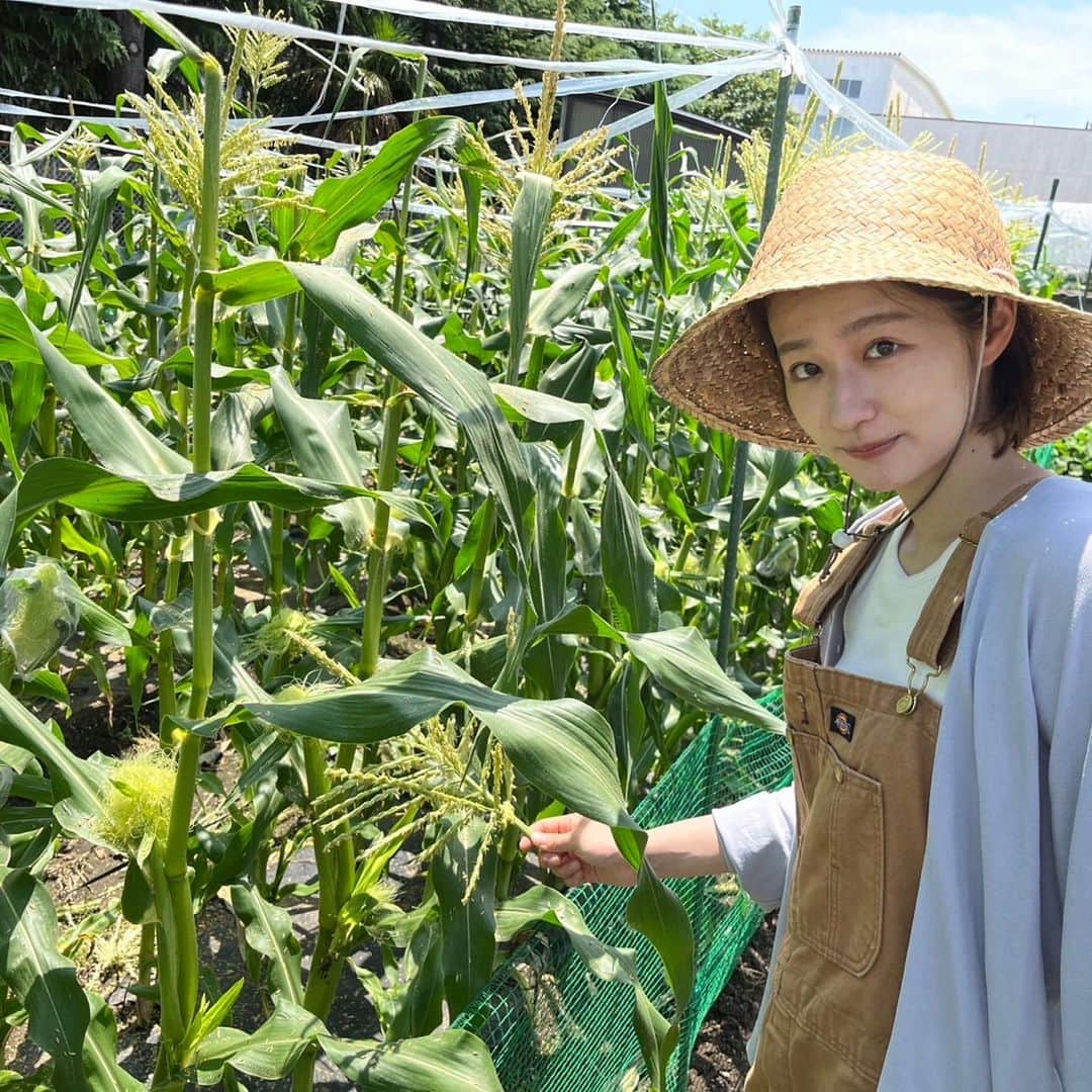 佐藤ちひろさんのインスタグラム写真 - (佐藤ちひろInstagram)「農業体験してきました✌️  ジャガイモ掘り🥔と とうもろこしの受粉作業🌽を お手伝いしてきました😎  虫がいっぱいで暑くて… みなさんも熱中症に気をつけてくださいね😂  おいしく育ってね🫶  #農業　#畑　#ジャガイモ　#とうもろこし #プライベートです！」7月2日 12時12分 - chihiro.sato_ex