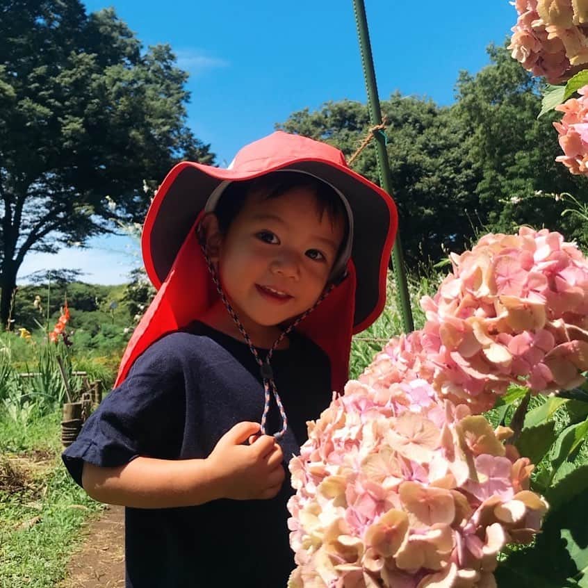 山本栄治さんのインスタグラム写真 - (山本栄治Instagram)「この子は  どう撮られたら可愛く写るか  知っとるな。。。  ナルシストなのか💧」7月2日 12時41分 - eiji7115