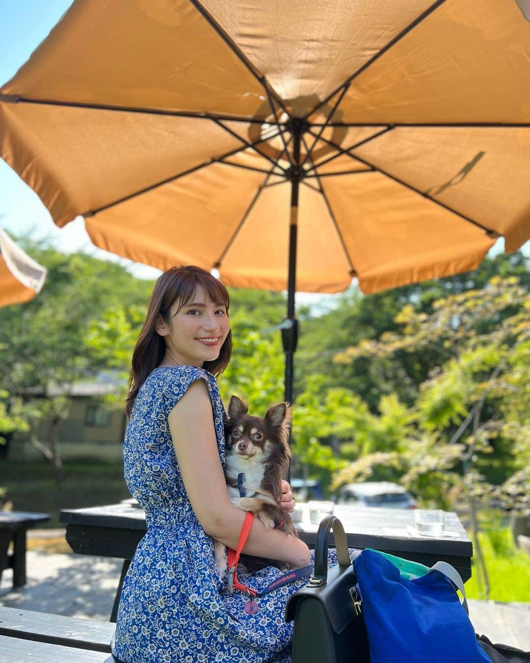 澤田愛美さんのインスタグラム写真 - (澤田愛美Instagram)「.  時差投稿です🌱  先日桜林茶寮で頂いた フルーツたっぷりのパフェ！  ミトンも一緒にテラス席で🐶🤍  .   #桜林茶寮 #パフェ #フルーツ #青森 #弘前 #弘前カフェ #犬とお出かけ #犬のいる暮らし #チワワ #テラス席 #アナウンサー」7月2日 13時04分 - amy____oxox