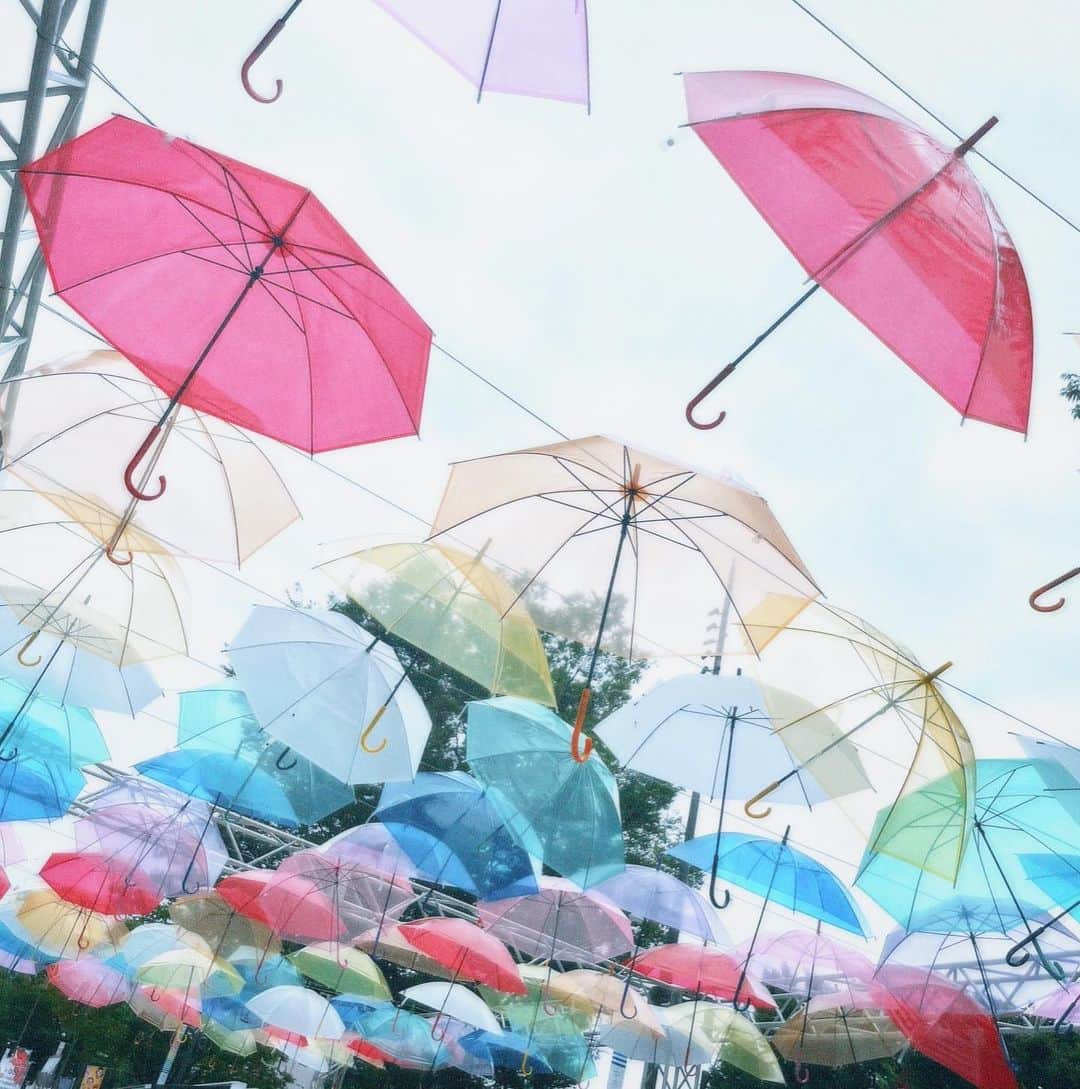 塩野響子さんのインスタグラム写真 - (塩野響子Instagram)「⠀傘がいーっぱい❤︎❤︎❤︎」7月2日 13時01分 - kyondayo1206