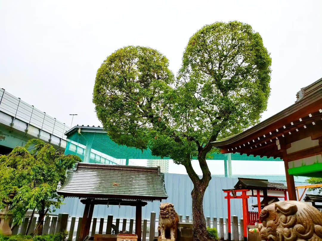 林智美 さんのインスタグラム写真 - (林智美 Instagram)「お朔日参り。 #脇浜神社 の御朱印の可愛さよ…！  毎月デザインが変わるので、 毎月欠かさず欲しくなる。 今月はこの切子のデザインが、 個人的イチオシでした🎯  華守もひとつひとつデザインが違って、 コレだ！っていう、 運命の一体に巡り会える感じもたまりません。  毎月1日だけのお楽しみ◎  ということでもう7月だー！！  #7月 #お朔日参り #おついたちまいり #おついたち #神社 #神社巡り #御朱印 #御朱印集め #ハートの木 #ハートの木のある神社 #兵庫 #神戸 #KOBE #HAT神戸 #神戸観光 #阪神岩屋駅近く」7月2日 13時16分 - h_tomomi_i