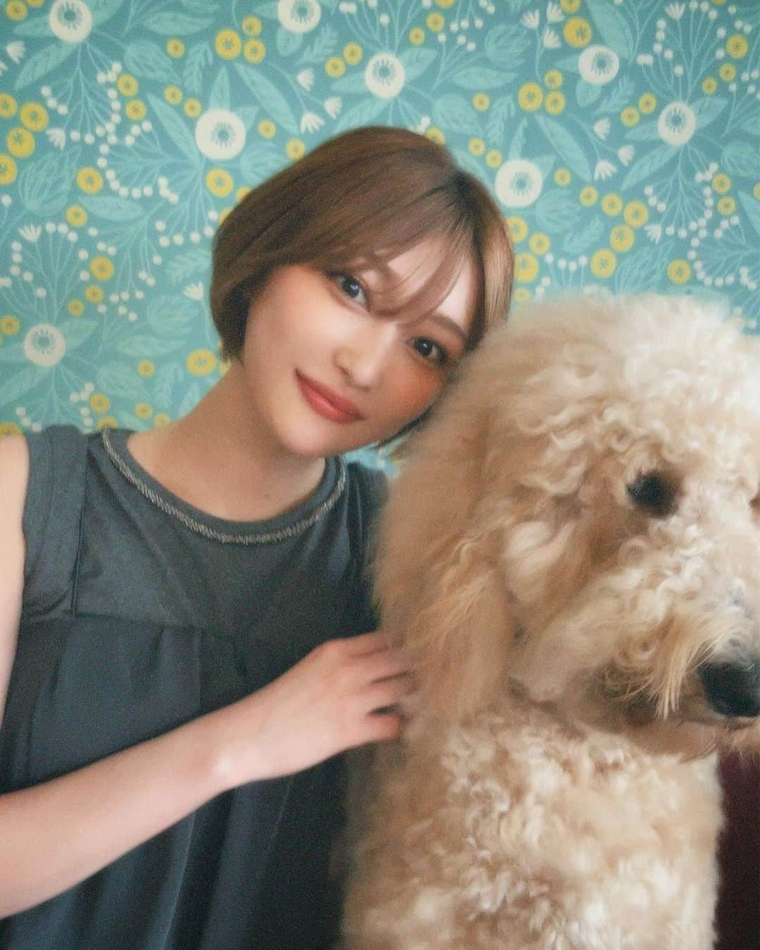 志田愛佳さんのインスタグラム写真 - (志田愛佳Instagram)「ずっと行きたかった大型犬カフェ🦮 推しのリグルくん膝枕で寝るのが好きらしい☺︎ 皆んな人懐っこくて沢山モフモフさせてくれた🩵  #大型犬 #大型犬カフェ #grandmou」7月2日 13時50分 - manaka.shida.98