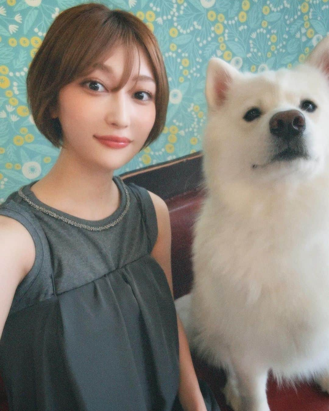 志田愛佳さんのインスタグラム写真 - (志田愛佳Instagram)「ずっと行きたかった大型犬カフェ🦮 推しのリグルくん膝枕で寝るのが好きらしい☺︎ 皆んな人懐っこくて沢山モフモフさせてくれた🩵  #大型犬 #大型犬カフェ #grandmou」7月2日 13時50分 - manaka.shida.98