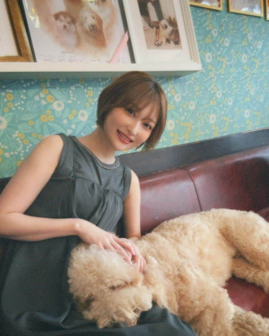 志田愛佳さんのインスタグラム写真 - (志田愛佳Instagram)「ずっと行きたかった大型犬カフェ🦮 推しのリグルくん膝枕で寝るのが好きらしい☺︎ 皆んな人懐っこくて沢山モフモフさせてくれた🩵  #大型犬 #大型犬カフェ #grandmou」7月2日 13時50分 - manaka.shida.98