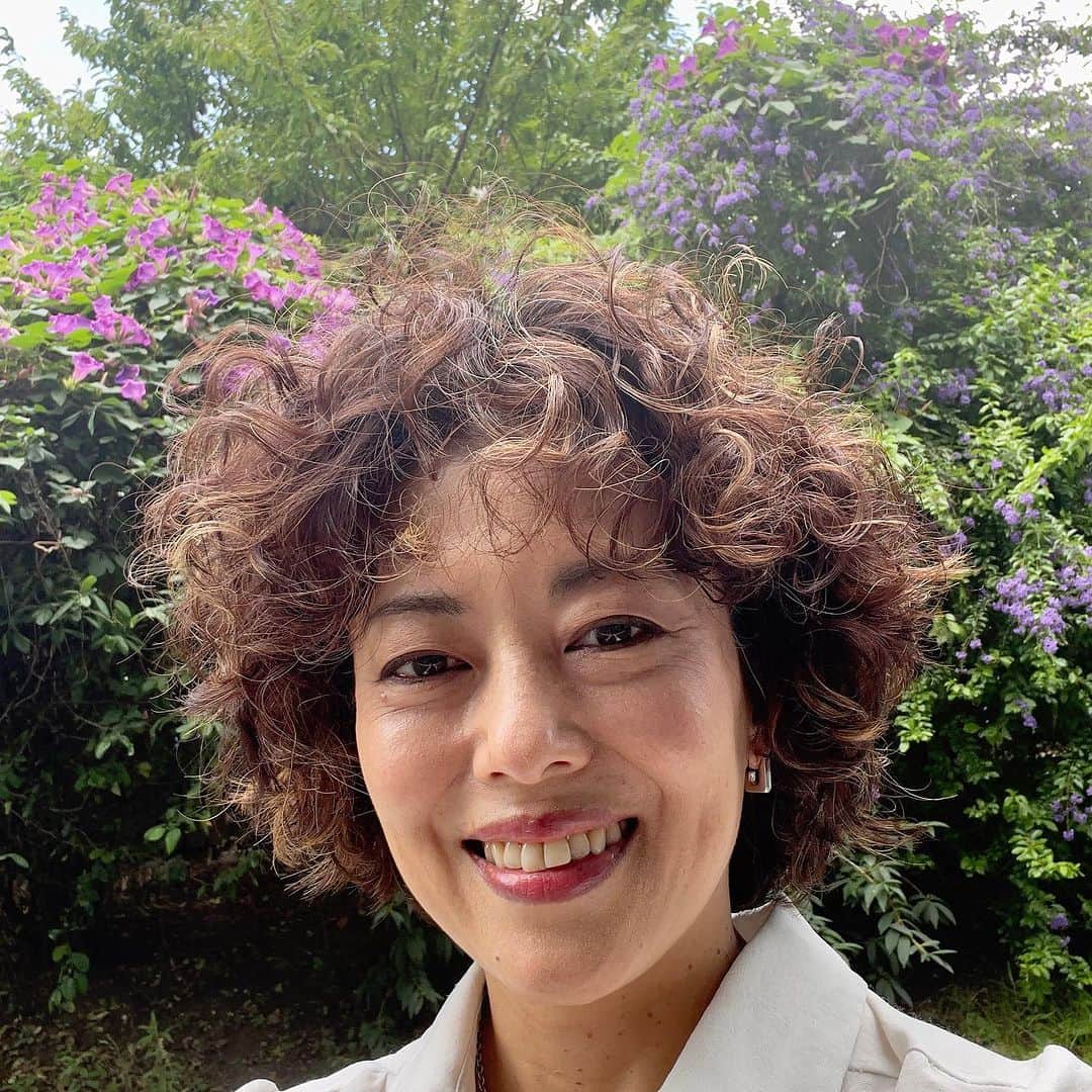 池田有希子のインスタグラム：「近所のデュランタの木に琉球朝顔が絡みついて紫on紫になる最高の季節がやってきました！」