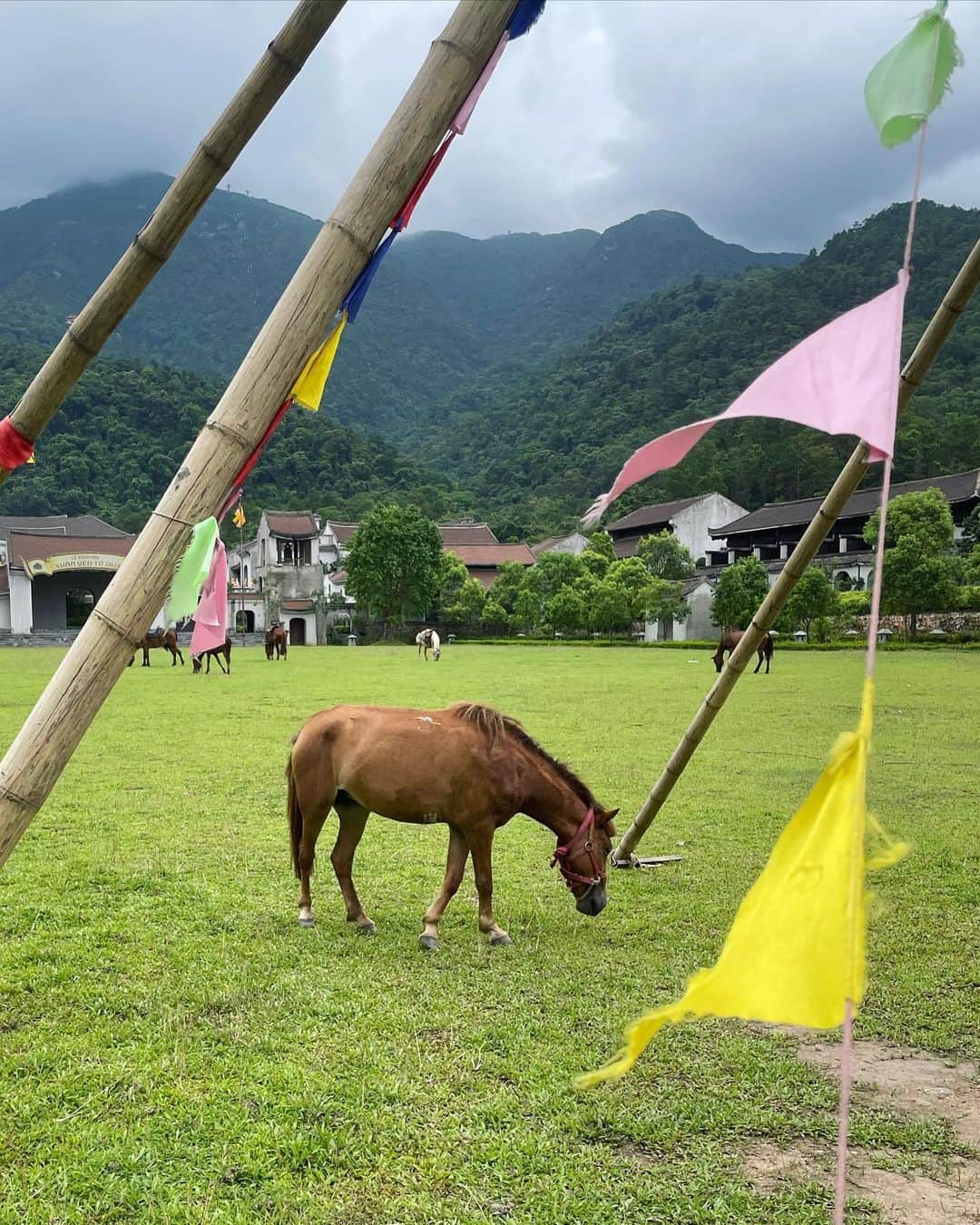 桐島かれんのインスタグラム：「ホテルでは、乗馬、アーチェリーも楽しめます。 #ベトナム旅行」
