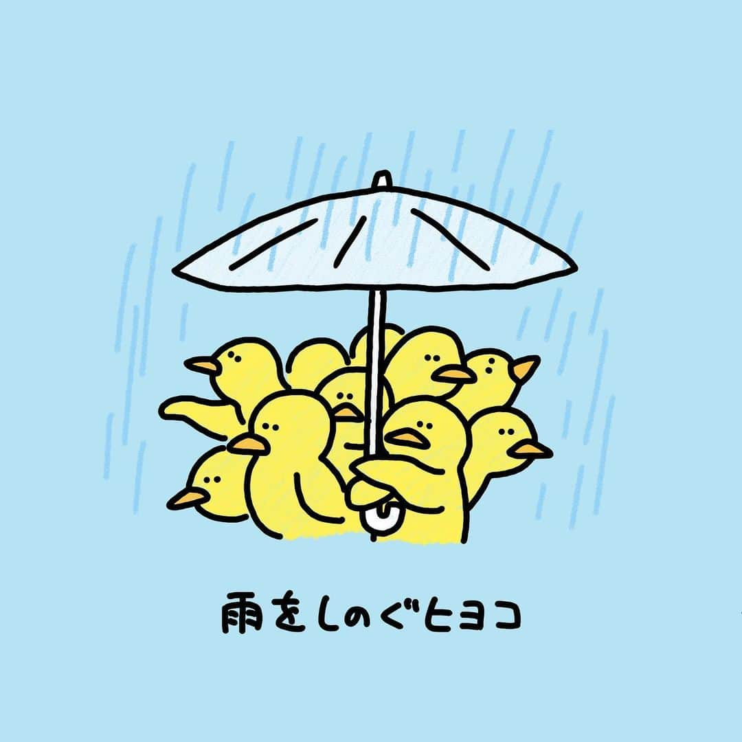 秋山寛貴のインスタグラム：「●ヒヨコ #雨をしのぐ #ヒヨコ #濡れないように身を寄せ合う #梅雨 #秋山動物園  　 書籍発売中！ 各書店、Amazonにてご購入頂けます📚 　 #絵#イラスト#落書き#ラクガキ#漫画#マンガ#アート#美術#ドローイング#アプリ#medibangpaint#メディバンペイント #ipadpro #illustration#manga#art#artwork#arthubfriends」