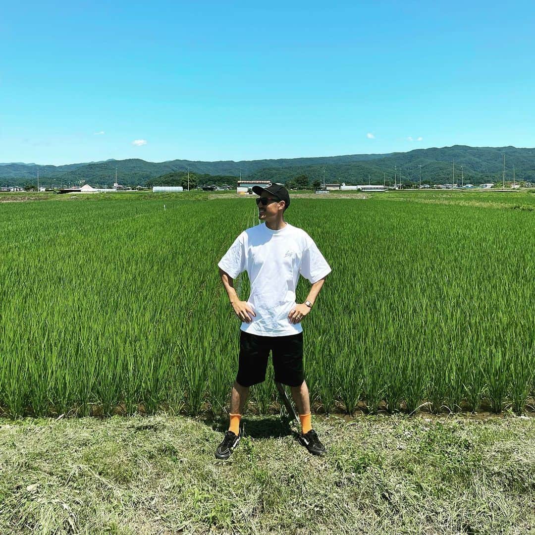 中村貴之のインスタグラム：「いい感じに育ってる🌾  #米 #コシヒカリ #長野県 #佐久市  @steez_creative_stand 👕 @dangshades_jp 🕶」