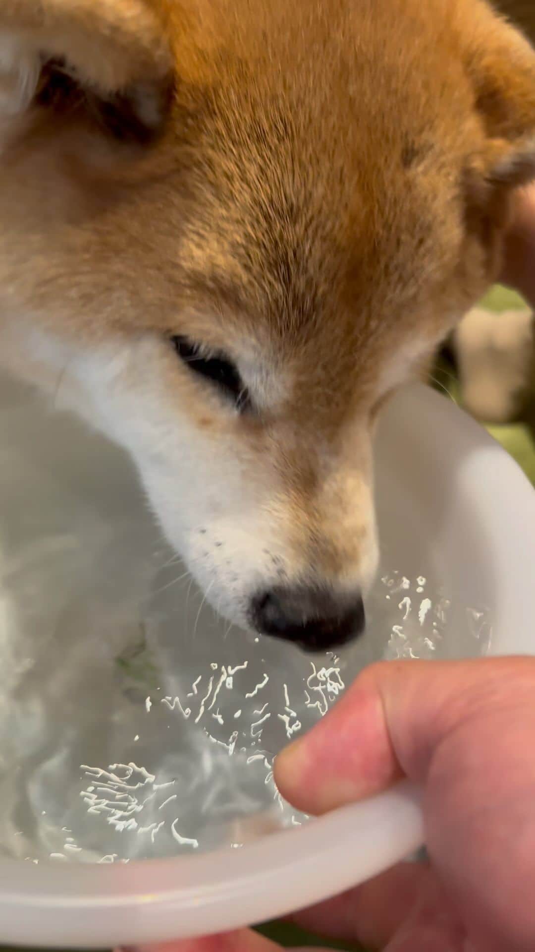 のインスタグラム：「お水いっぱい飲んだよ〜 #熱中症対策 #こまめに水分補給 #上手に飲めました」