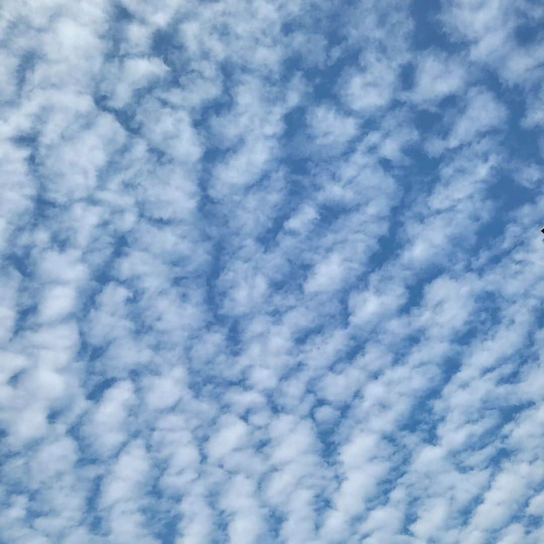 チョン・ウンピョのインスタグラム：「하늘을 보니 구름이 방향따라 다르네요~~얼마 안남은 주말 모두 행복합시다~~^^」