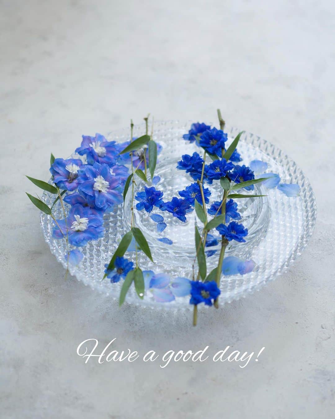 雑誌『花時間』さんのインスタグラム写真 - (雑誌『花時間』Instagram)「七夕🎋飾りのアイデアです。  花時間（@hanajikan_magazine）です。  いま、お花屋さんを覗くと、笹が並んでいますよね。  細い枝先だけチョッキン✂️して、活用してみましょう。  器は大きめのガラス皿。  水を張ったら、笹の枝を渡し、花だけにしたデルフィニウムを浮かべていきます。  1輪ずつの花が、天の川の星になってくれそう？  難しいことはなーーんにもないけど、あえて言うなら…茎のカット位置。  お花が吸水できるよう、花茎は少し残してくださいね。  でも、いきなり、花だけにするのはもったいない？　ですよね😅　わかります。私もその口。だったらね、長いまんまいちど飾ってから、本番の日にチョッキン✂️って、手もあるよねー。  七夕の日は晴れますように！  発売中の春夏号からのご紹介でした。  では、今週も元気smile😊😊😊で頑張りましょう！ byピーターパン  花　@kaliang_flowershop  写真　@satomi.ochiai78   【花時間ニュース】 💜『花時間』から、花の定期便がスタートしました🥰　世界でここだけのバラと旬花が届く嬉しいサービスです💕  💜『花時間2023春夏』〈春のピンク！夏のブルー！〉大好評発売中！  💜『花と短歌でめぐる 二十四節気 花のこよみ』大好評発売中  すべて @hanajikan_magazine のプロフィールのリンクから飛べます✈️  『花時間』本誌や書籍は全国の書店、ネット書店でも発売中✨  #花時間 #フラワーアレンジ #七夕 #七夕飾り #デルフィニウム #青い花 #花が好き #花が好きな人と繋がりたい #花を飾る #花を飾る生活 #花屋さんへ行こう」7月2日 18時13分 - hanajikan_magazine