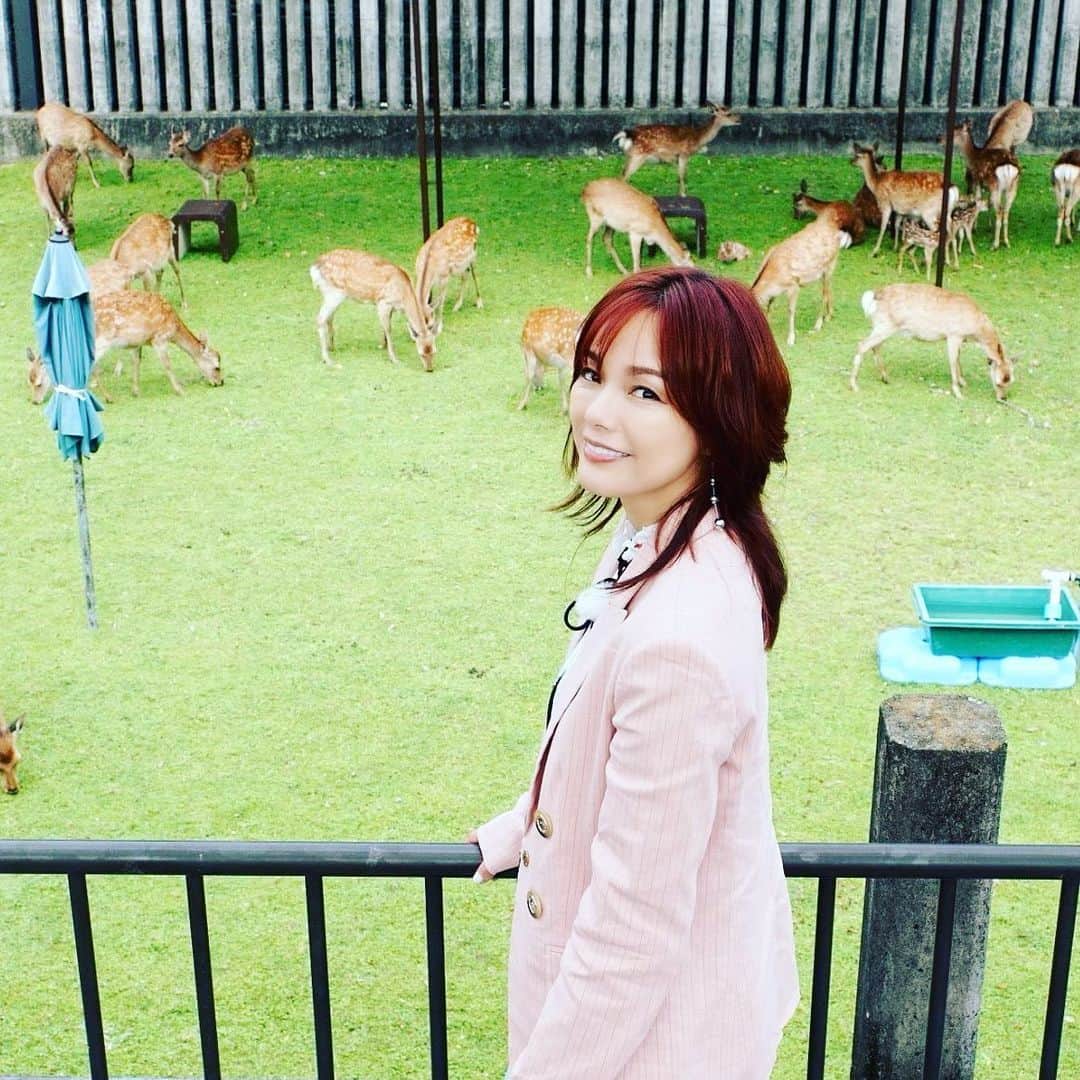 相川七瀬さんのインスタグラム写真 - (相川七瀬Instagram)「2023年6月22日放送NHK『えぇトコ』 全国放送は7月7日14:05 〜 です！ 大好きな奈良を堪能しています！是非見てね❤️  #NHK #相川七瀬 #えぇトコ」7月2日 18時35分 - nanasecat