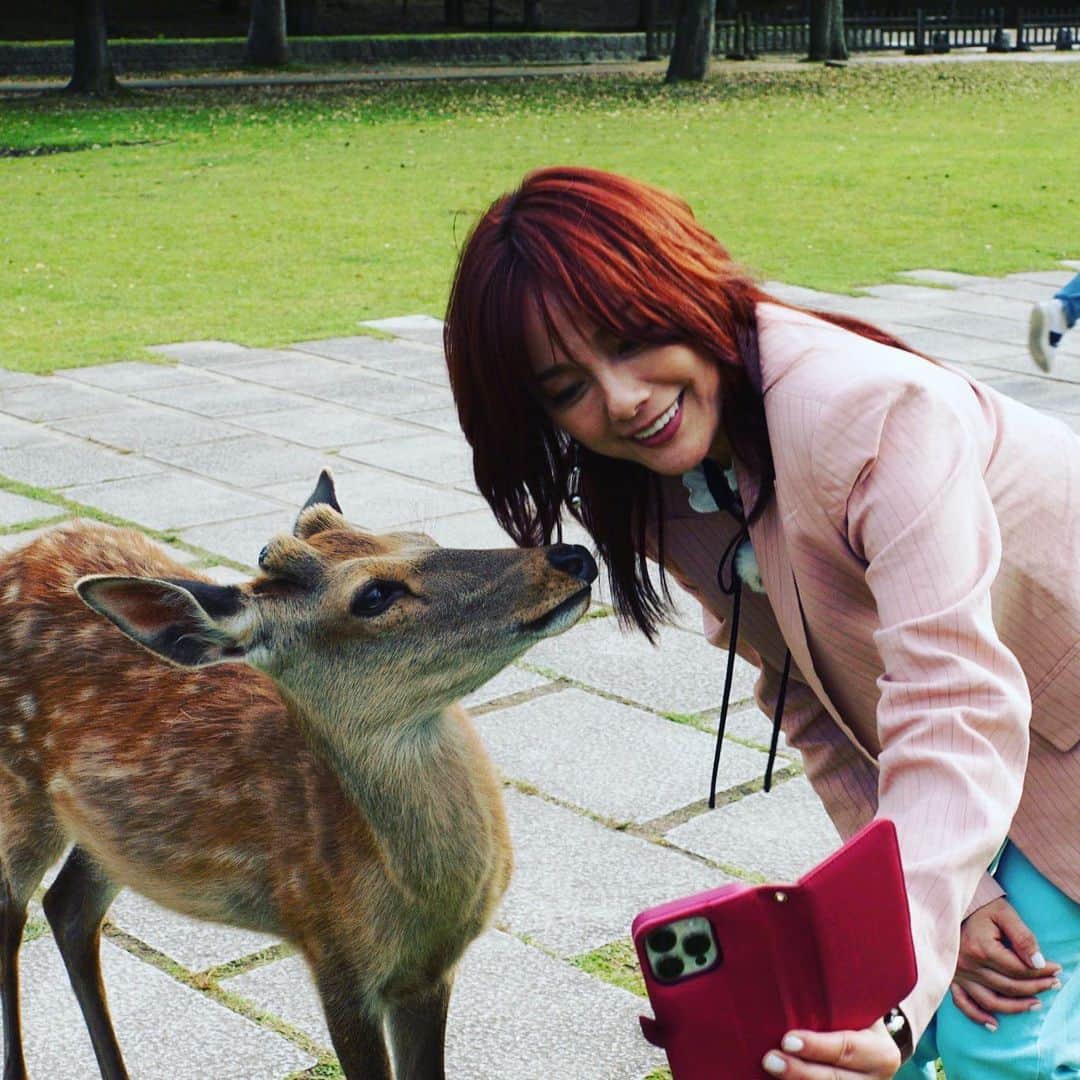 相川七瀬さんのインスタグラム写真 - (相川七瀬Instagram)「2023年6月22日放送NHK『えぇトコ』 全国放送は7月7日14:05 〜 です！ 大好きな奈良を堪能しています！是非見てね❤️  #NHK #相川七瀬 #えぇトコ」7月2日 18時35分 - nanasecat