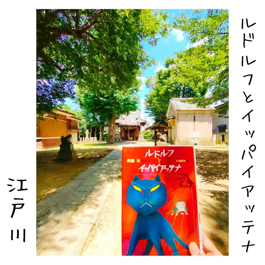 尾上緑のインスタグラム：「【旅するKa☆Book📖③】  Ka☆Bookとは 読書好きの歌舞伎役者が 本を紹介するコーナー☆旅・巡業編〜  本📖日の巡業地は...江戸川区  【ルドルフとイッパイアッテナ】斉藤洋  『おれの名まえはいっぱいあってな。』  からはじまる ボス猫と駆け出しの黒猫の物語  小学生の頃 わくわくして読んだ 幼心の君へ届けっ😝  実は江戸川区 小岩が舞台なんですよねー  写真の 上小岩天祖神社は 彼らのねぐら  境内は広いのに おやしろはちょこんとしていて とっても かわいい😸  『ことばを乱暴にしたり 下品にしたりするとな  しぜんに心も乱暴になったり 下品になってしまうもんだ。』 　　　　　　──イッパイアッテナ  #歌舞伎 #松竹大歌舞伎  #松竹大歌舞伎東コース #巡業 #菊畑 #土蜘   #今日の公演地 #江戸川 #江戸川区 #江戸川区総合文化センター  #ルドルフとイッパイアッテナ #斉藤洋 #上小岩天祖神社 #小岩 #北小岩  #本紹介#本#小説#本スタグラム #読書好きな人と繋がりたい #本好きな人と繋がりたい #小説好きな人と繋がりたい #旅行好きな人と繋がりたい  #本のある暮らし  #旅本  #御当地本 #聖地巡礼  #旅するKa☆Book #歌book   明日は #休演日」