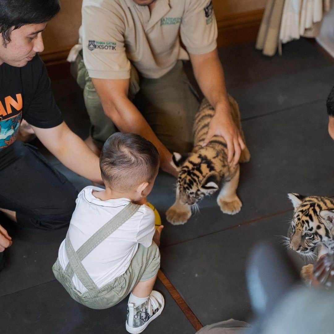 Raffi Ahmadさんのインスタグラム写真 - (Raffi AhmadInstagram)「Kita Dengan Harimau Cilik ❤️ Cenora Teona」7月2日 18時38分 - raffinagita1717