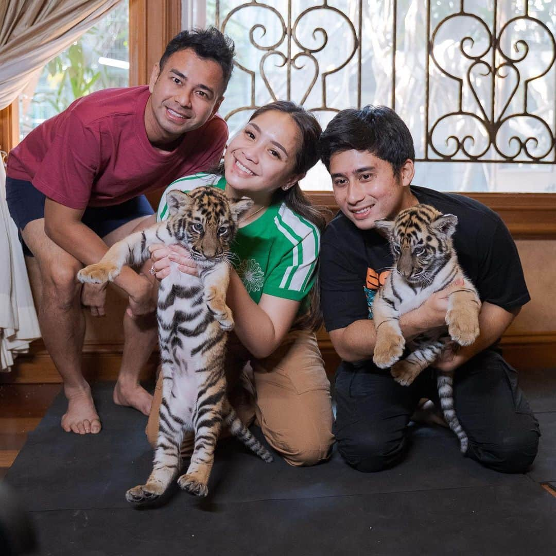 Raffi Ahmadさんのインスタグラム写真 - (Raffi AhmadInstagram)「Kita Dengan Harimau Cilik ❤️ Cenora Teona」7月2日 18時38分 - raffinagita1717