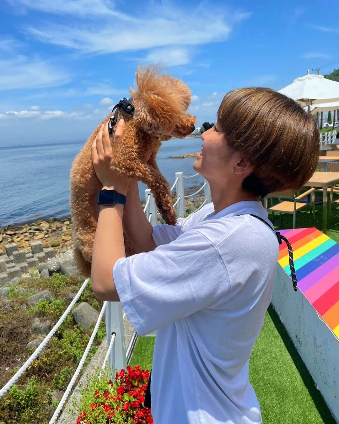 北村菜々美さんのインスタグラム写真 - (北村菜々美Instagram)「. Day off🐾❤️  #おっちゅん🐶 #淡路島」7月2日 18時53分 - nanami.k_7