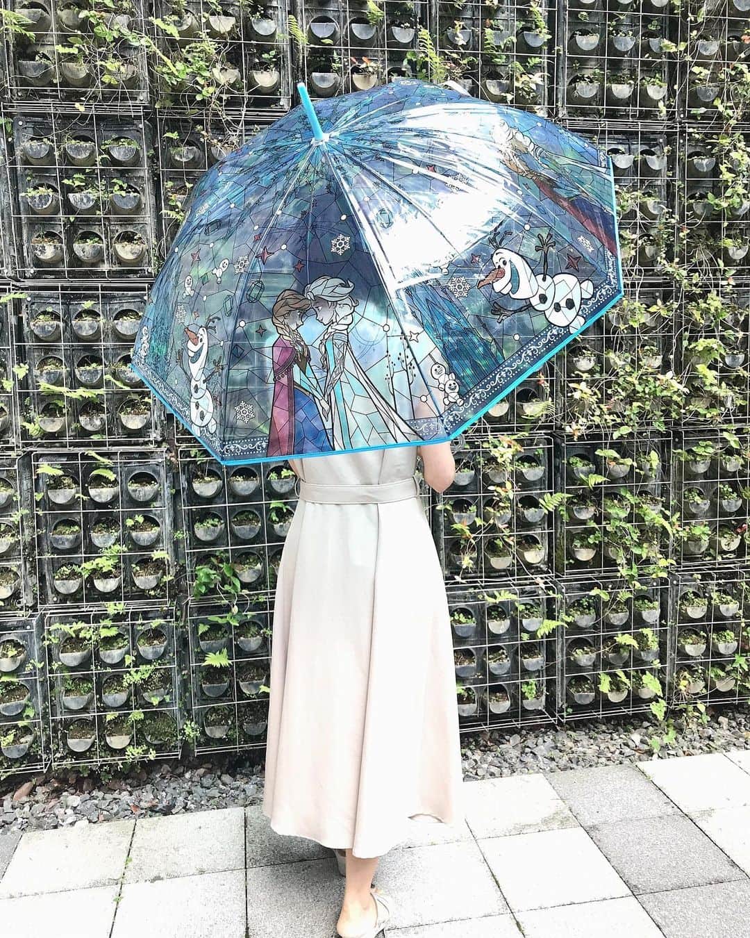 葵さんのインスタグラム写真 - (葵Instagram)「まだ梅雨は明けていないみたいなので、可愛い傘をnew in♡  ディズニー ステンドグラス風傘☂️ @santos_umbrella  雨をしのぐだけでなく、晴れの日も持ちたくなる！ ステンドグラス風のイラストが描かれた、ディズニープリンセス柄の傘です。  5種類あって、私は大好きなアナ雪♡ 可愛すぎるー❣️ 可愛すぎて息子も使いたいとのこと🎶  『使い捨て』というイメージが強いビニール傘ですが、この傘はビニール傘でありながらも生地の縁にパイピングを施したり、透明感が美しい持ち手を採用するなど、『使い捨て』ではなく、ファッションの一部として、大切に、長く使えそうな傘だからおすすめだよ✨  #ステンドグラス傘#ディズニー傘 #アナ雪#アナ雪傘#可愛い傘#ビニール傘 #雨の日コーデ#ディズニーグッズ#asagakeで体験」7月2日 19時01分 - dolphin_coconut
